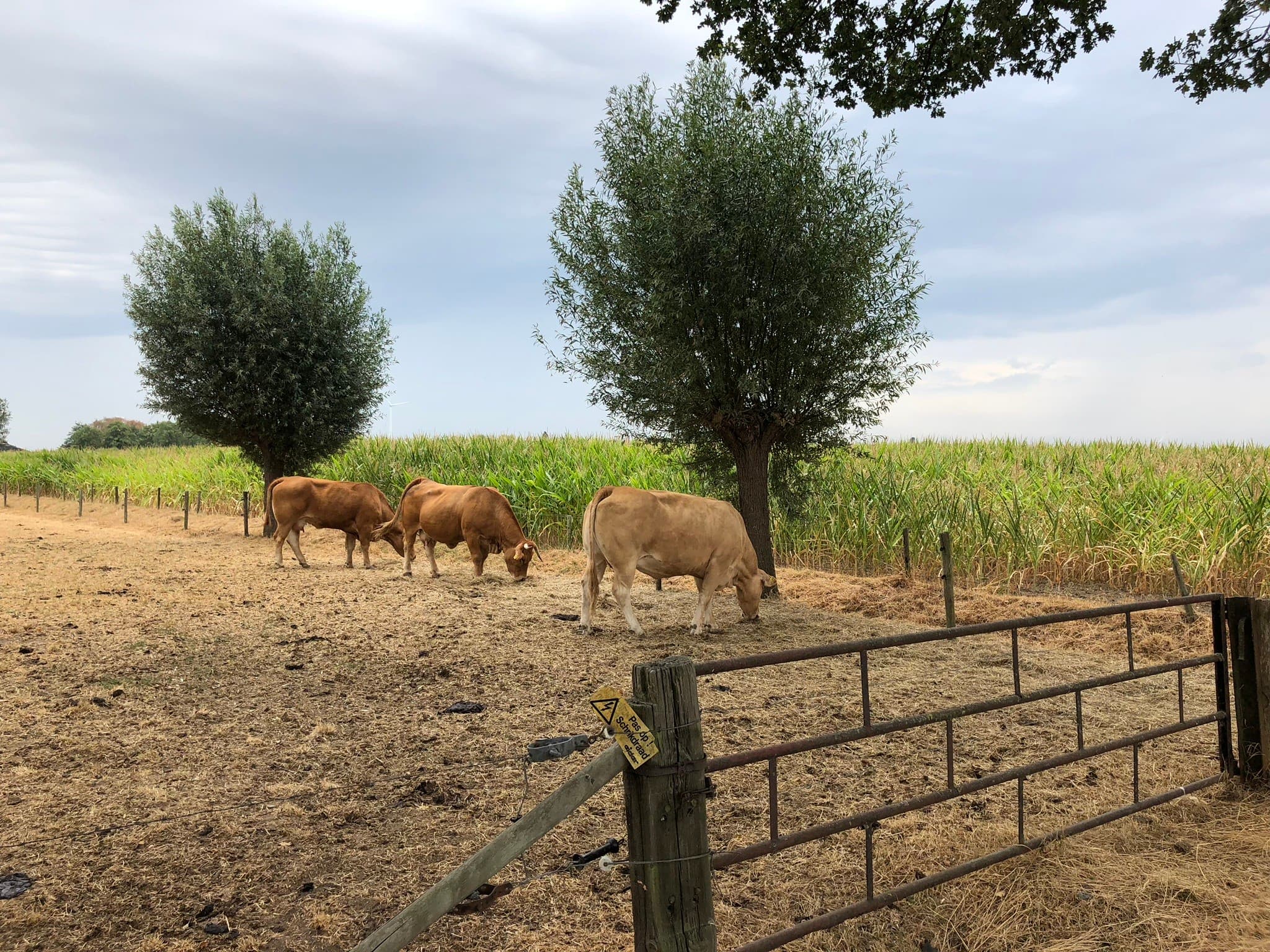 Foto: Boerderij