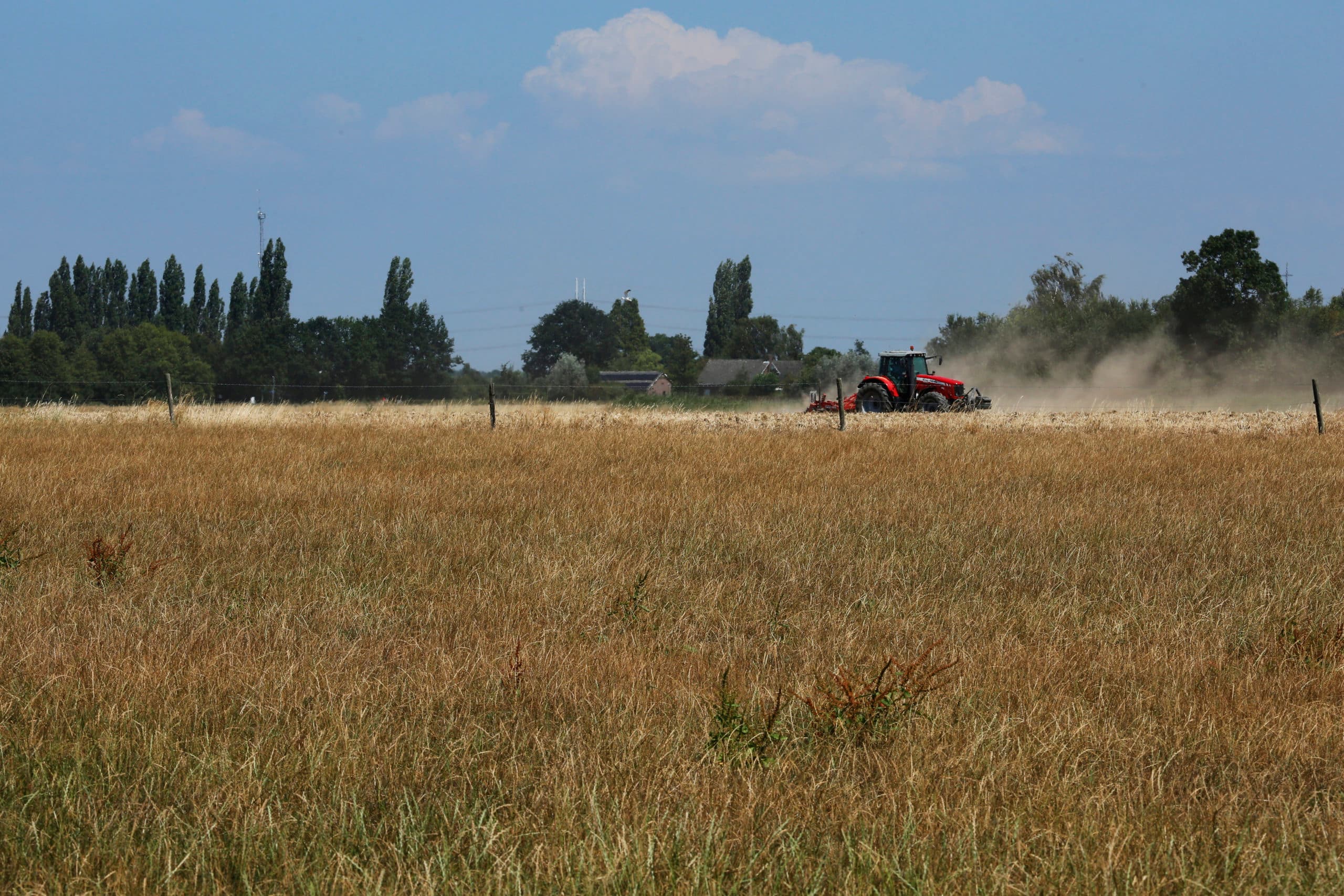 Foto: Henk Riswick