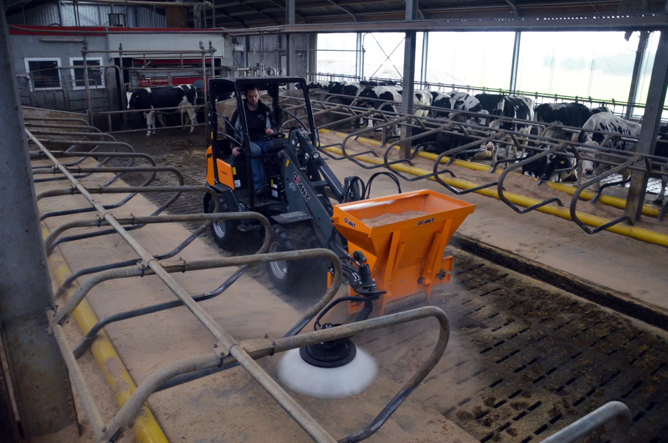Giant bouwt zelf een instrooibak met roosterschuif en hydraulische zijborstel om de boxen schoon te maken.