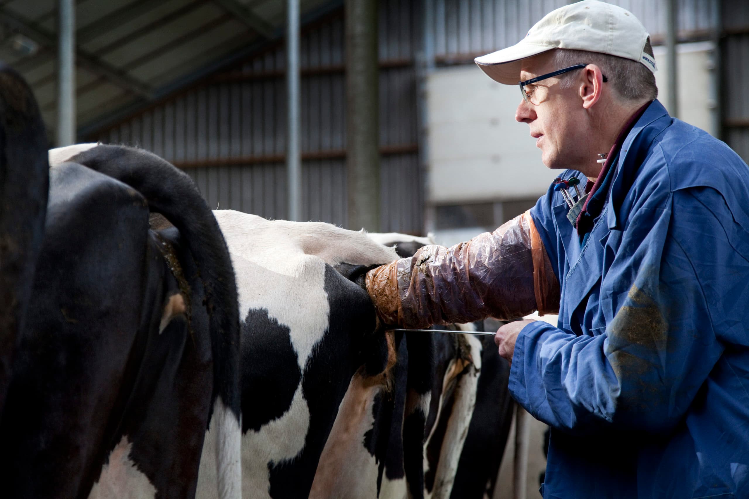 Foto: Jan Willem Schouten