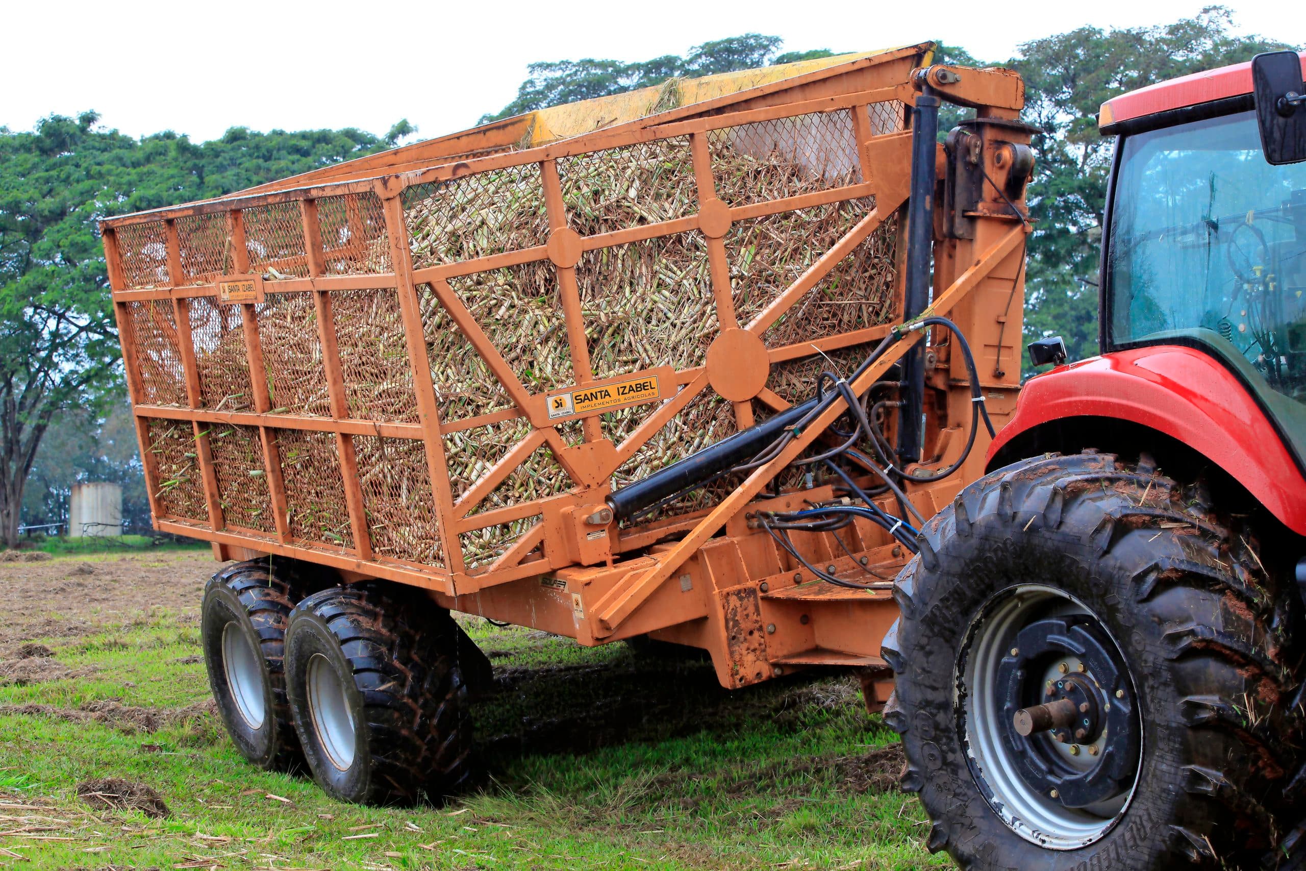 Net geoogste suikerriet in Brazilië. - Foto: Henk Riswick