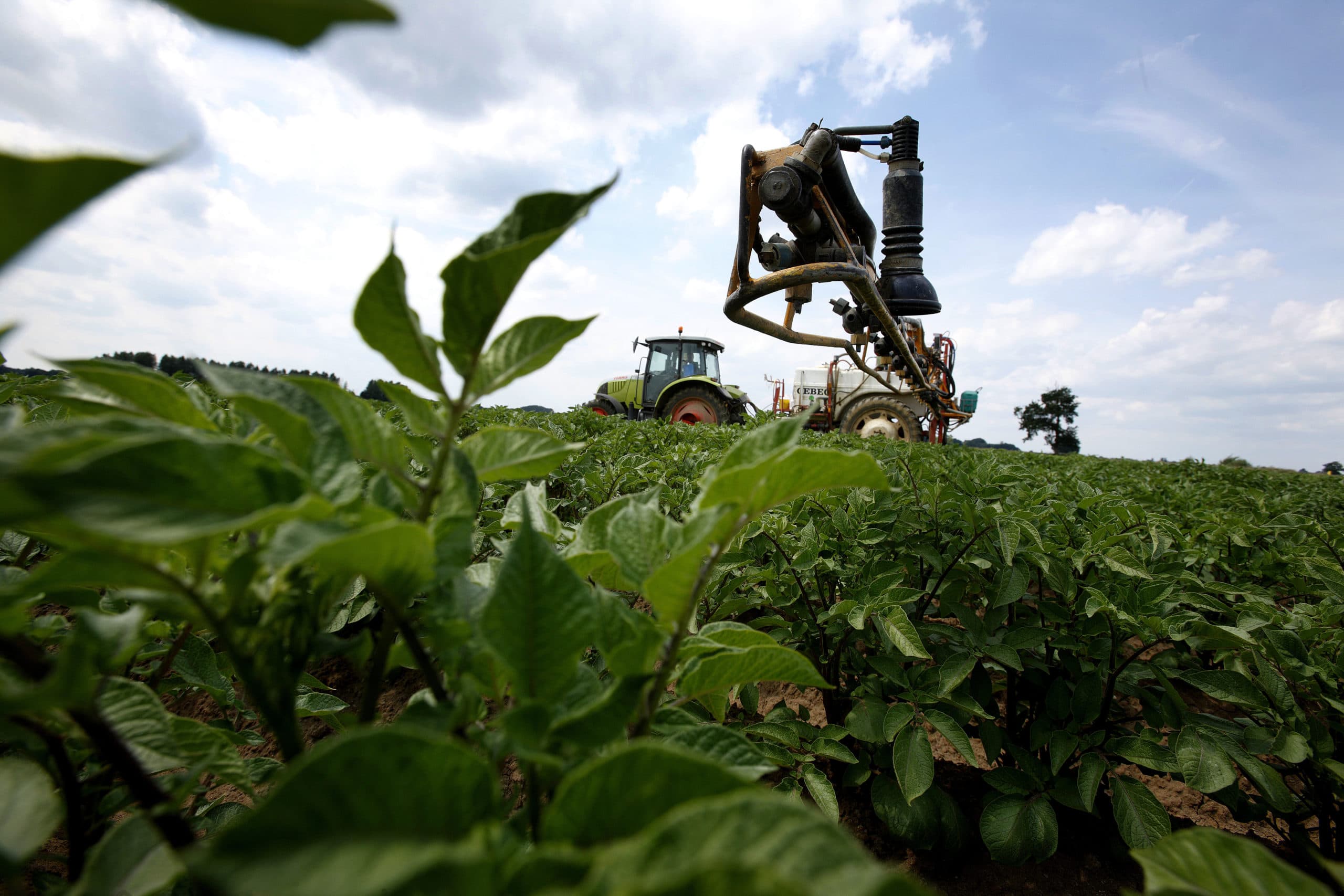 Hengelo, bas dijkman van loonbedrijf masselink spuit de aardappelen tegen phytophthora fotografie MMD Hans Prinsen