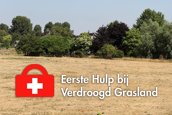 EHBO bij verdroogd grasland
