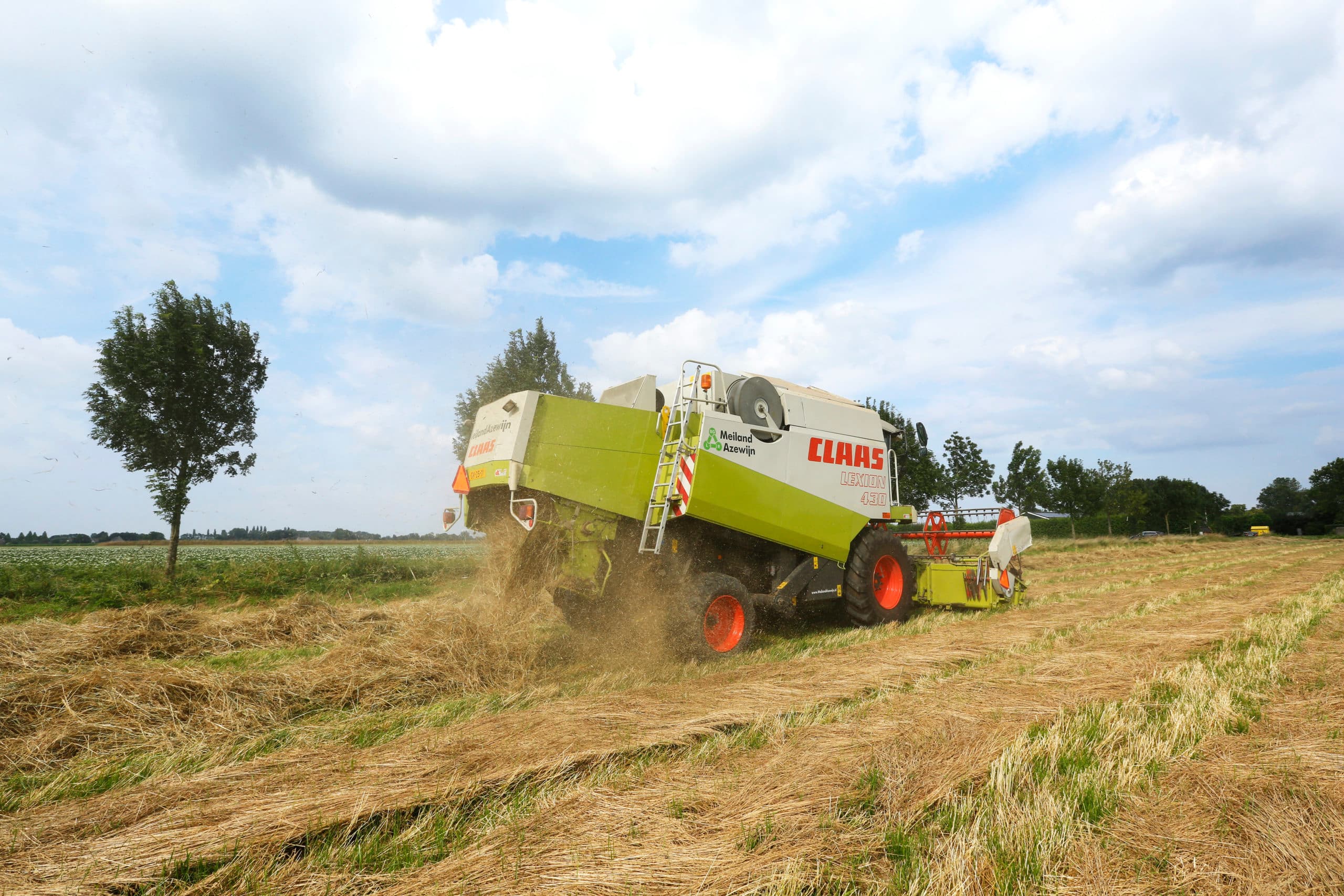 Foto: Henk Riswick
