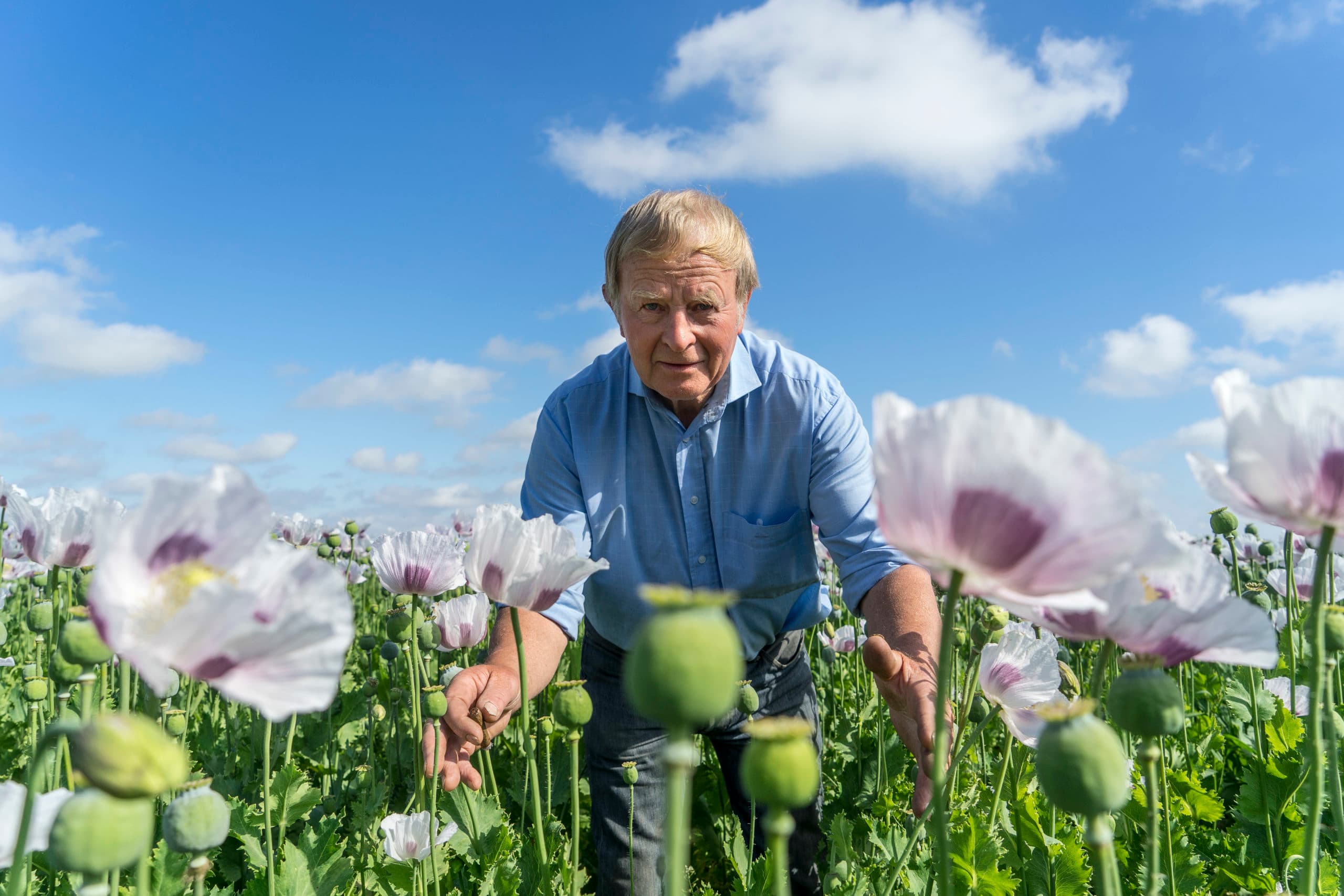 Cees Wijk. - Foto: Jan Willem van Vliet