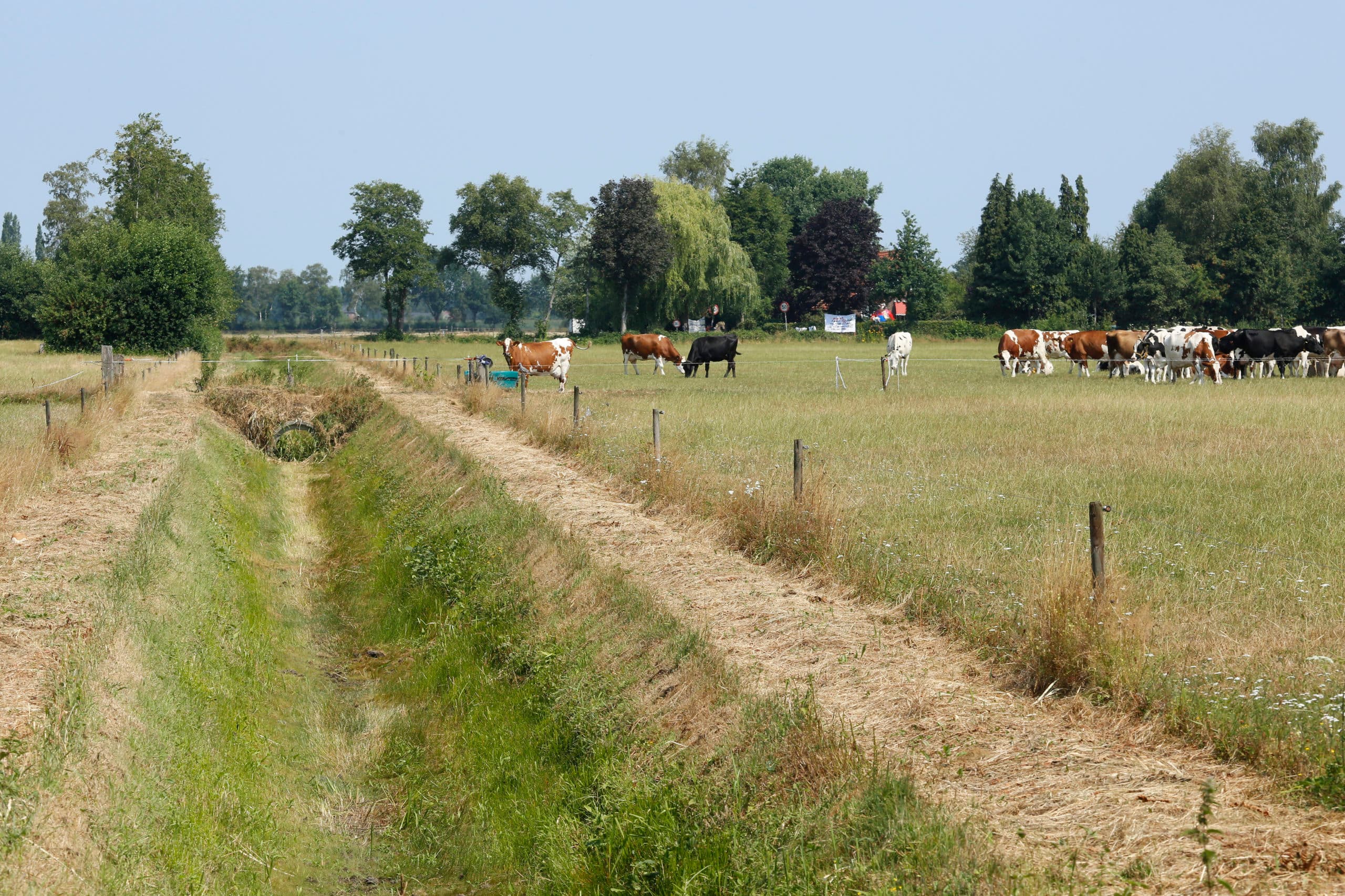 Foto: Henk Riswick