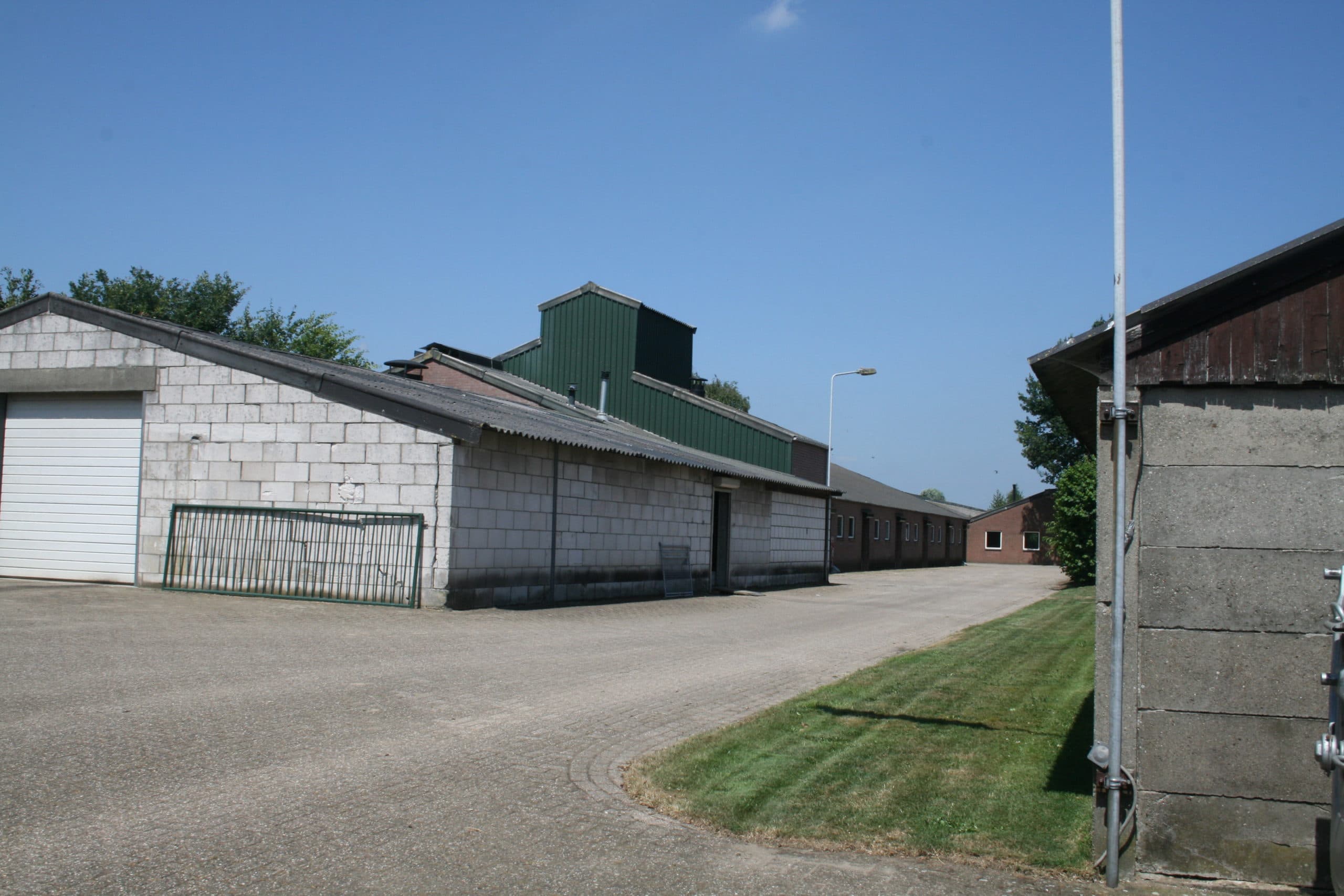 Foto: René Stevens