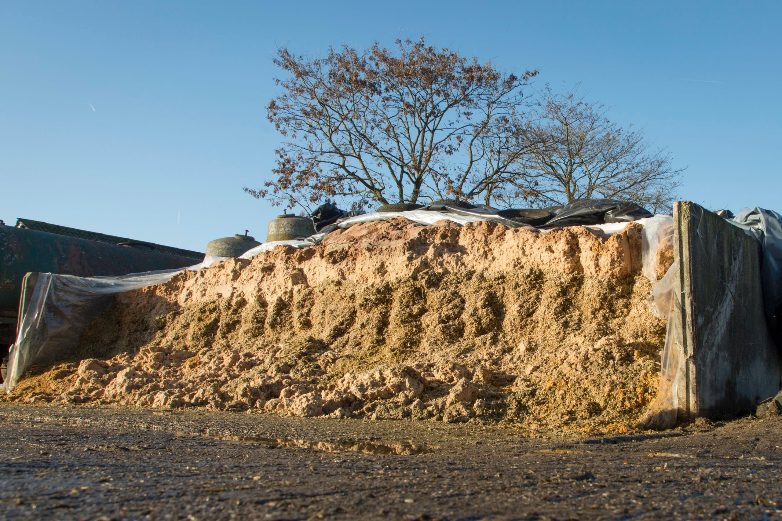 Foto: Koos Groenewold