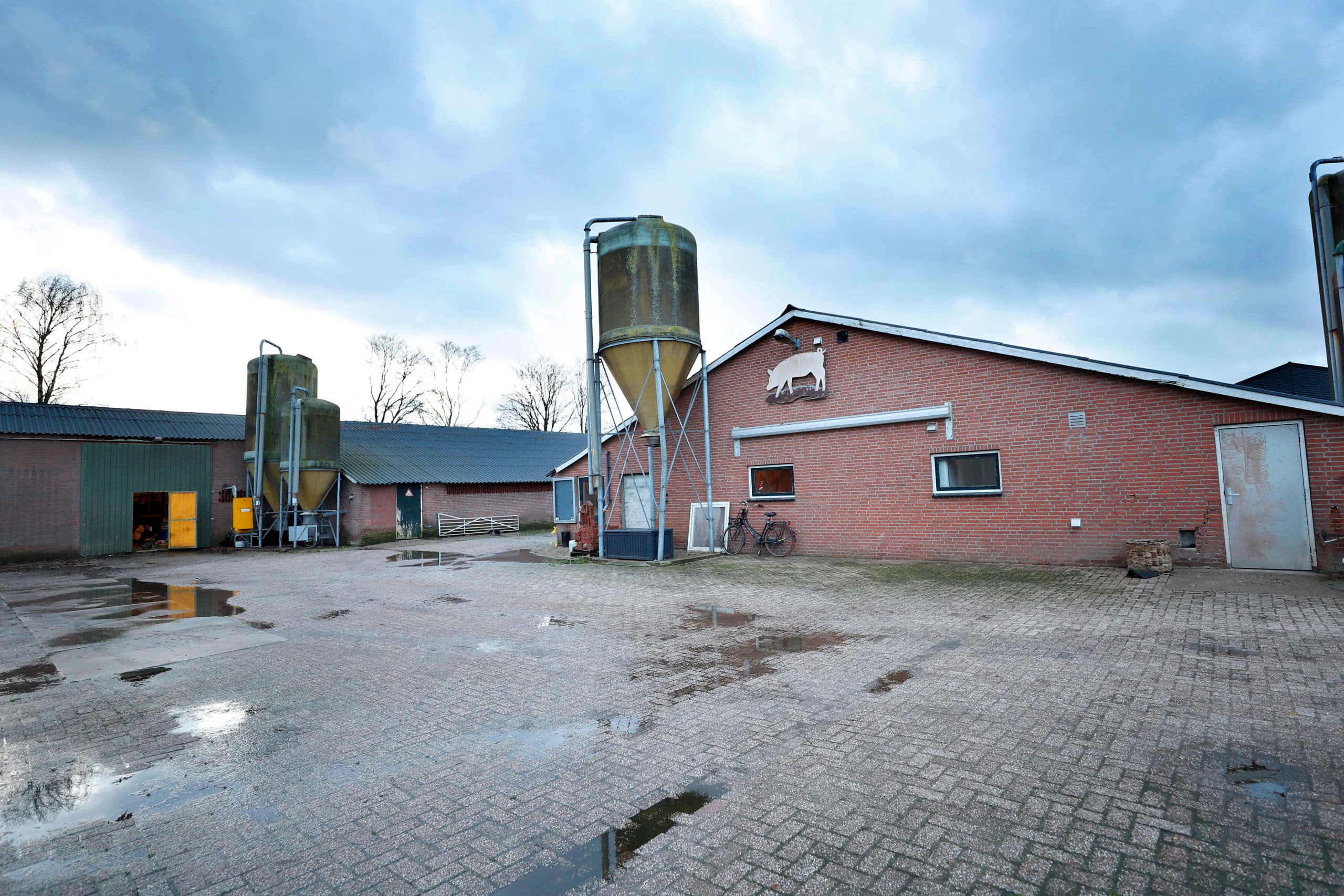 Foto: Bert Jansen