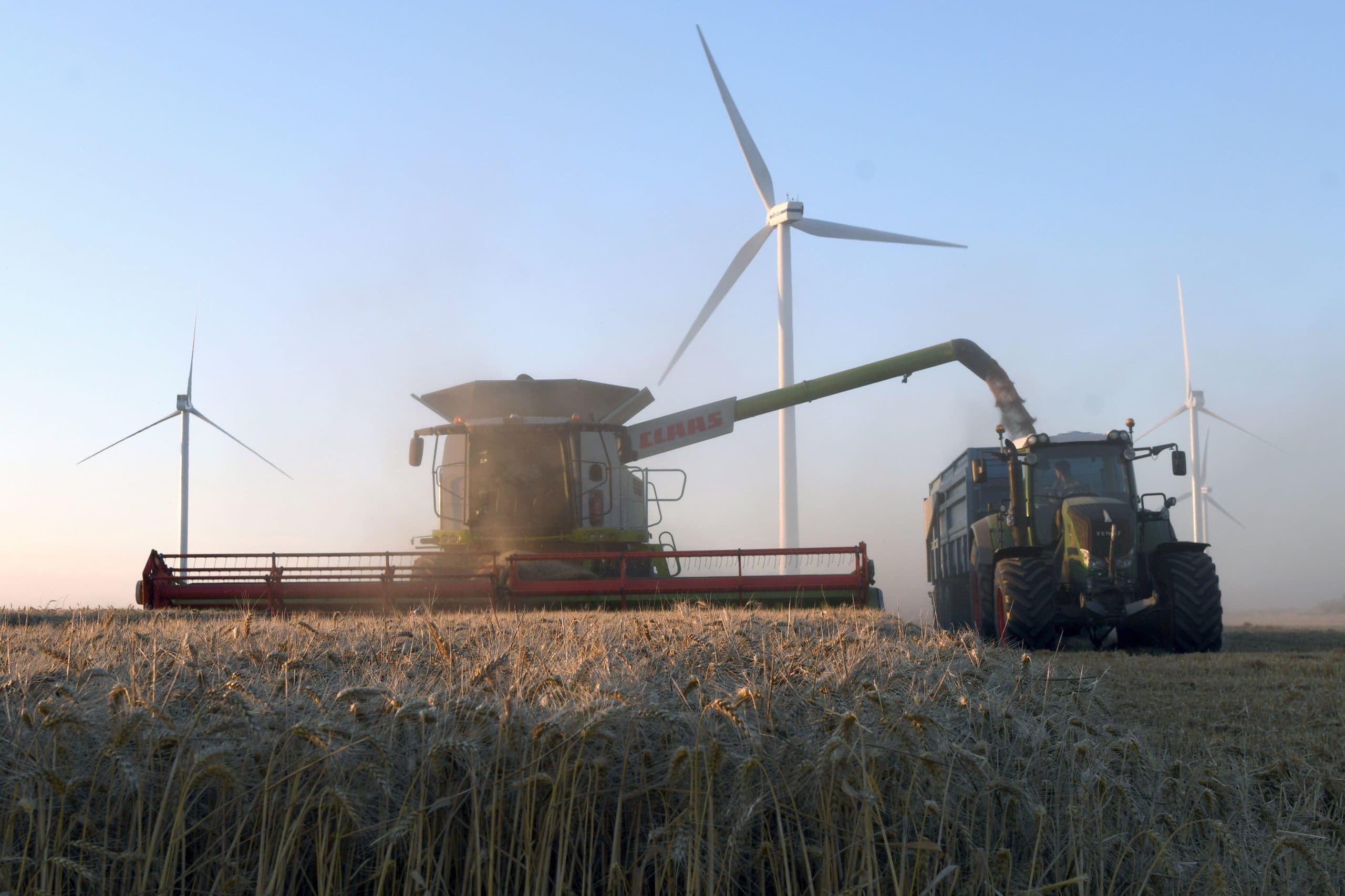 Oogst van tarwe in Frankrijk. - Foto: AFP