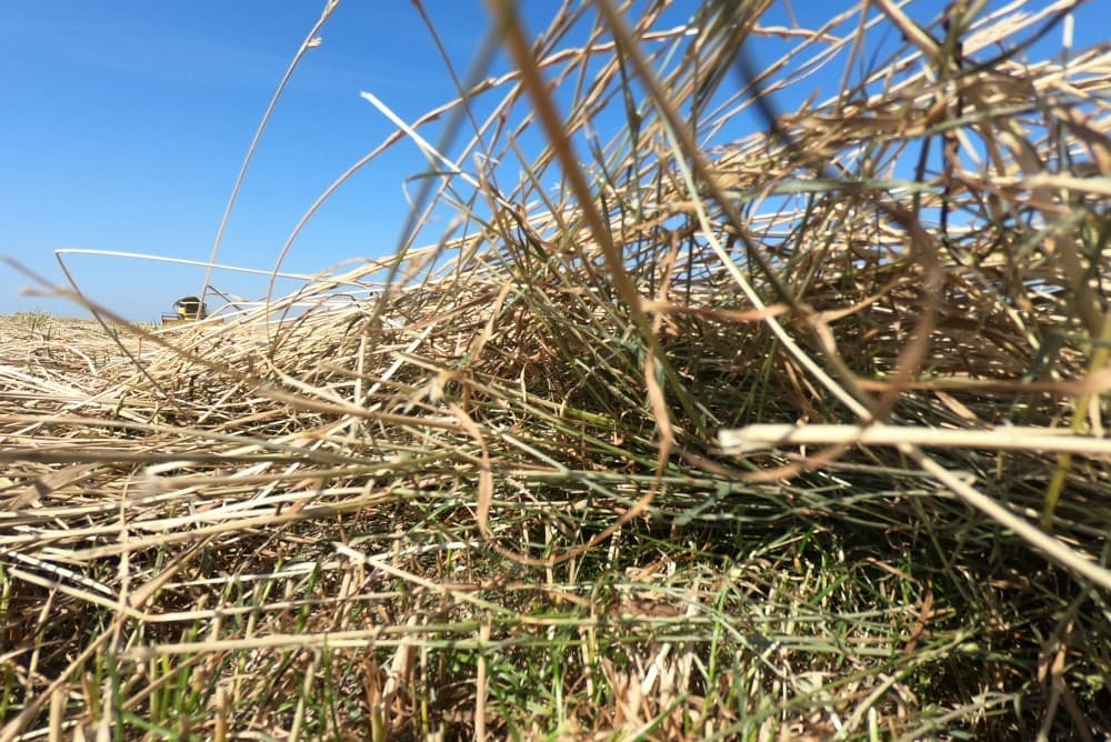 Ooms is nu met het eerste perceel van de ongeveer 20 hectare graszaad bezig.