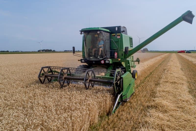 Het stro gaat naar loonbedrijf Beekman in Vaassen. Stro zal vlot geperst kunnen worden.