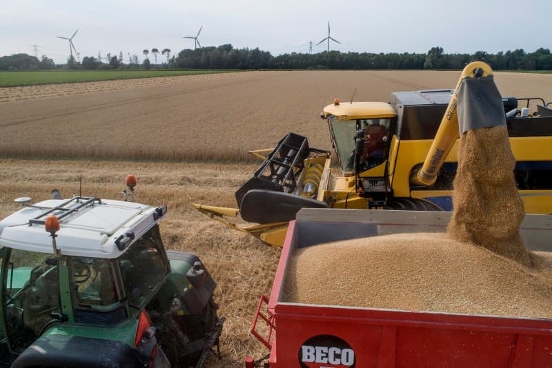 Bij De Bruycker Agro in Dronten is Alwin Westers op een John Deere 2054 combine 14 hectare Porthus vroege wintertarwe aan het combinen. De opbrengst van de wintertarwe lijkt dit jaar niet hoog te zijn, er wordt gesproken over ruim 10 ton per ha.