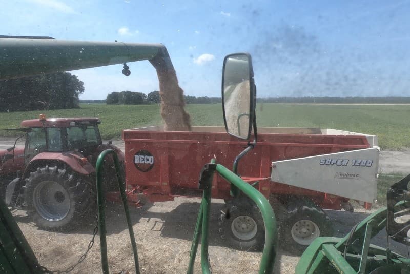 Met 3 kippers brengt Jarno Hoogenboom het graan naar een opslag van Profyto DSD in Swifterbant.