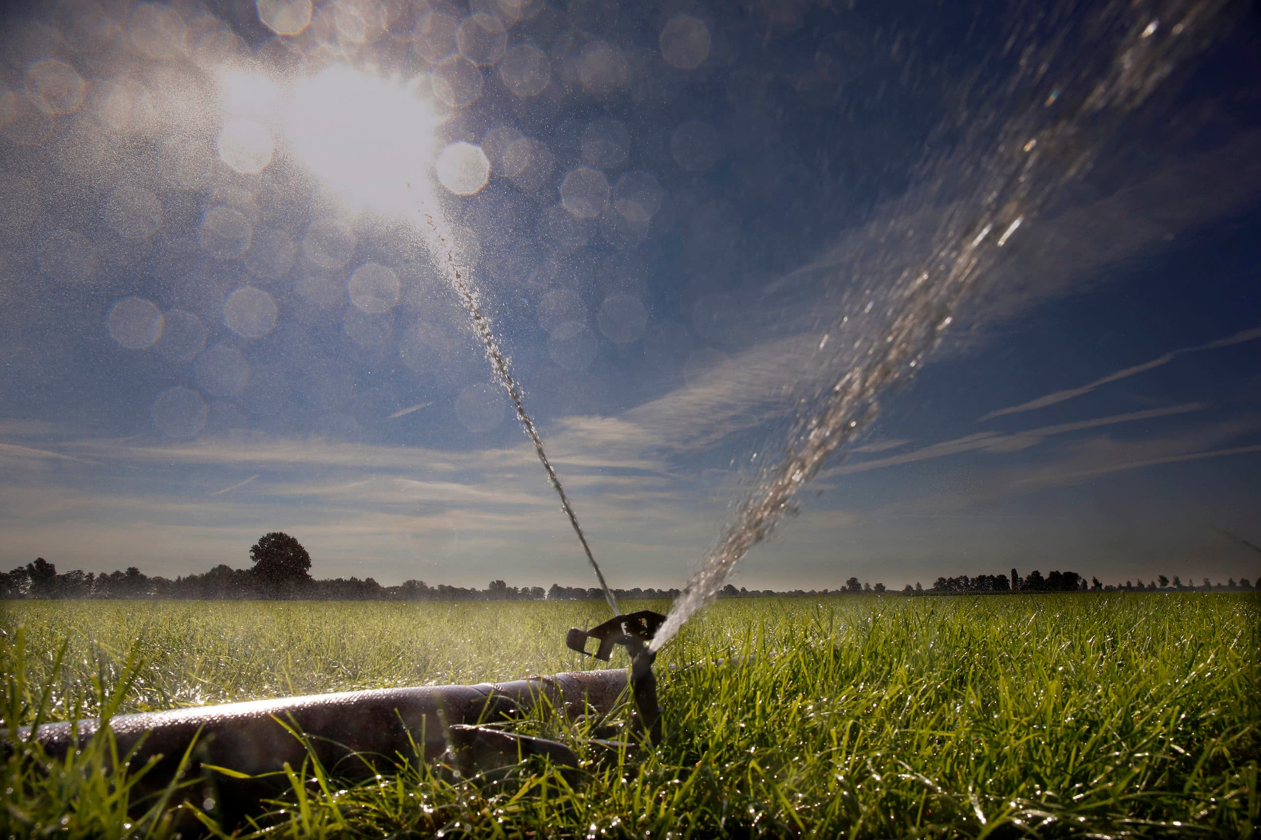 Foto: Hans Prinsen