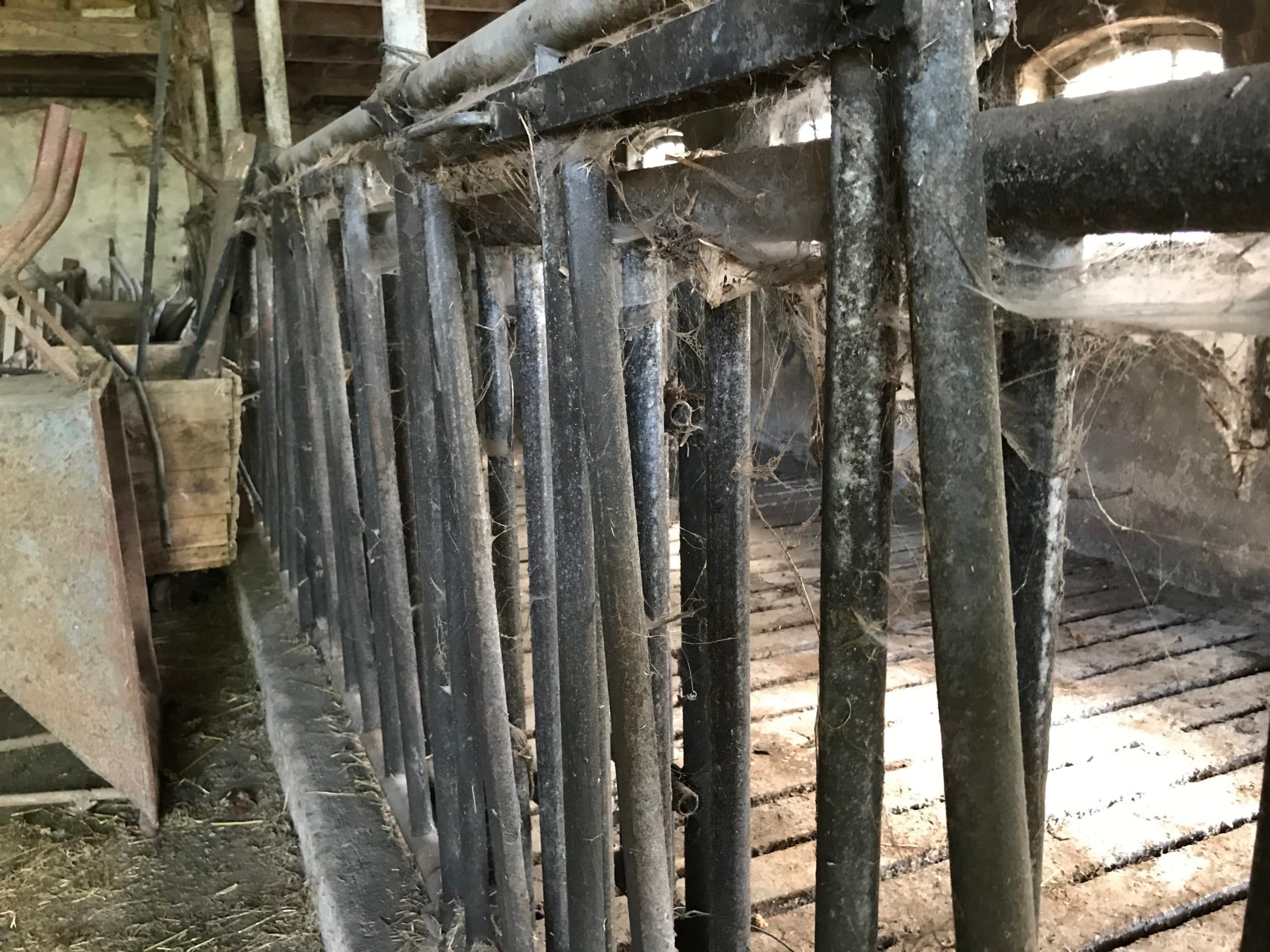Foto: Boerderij