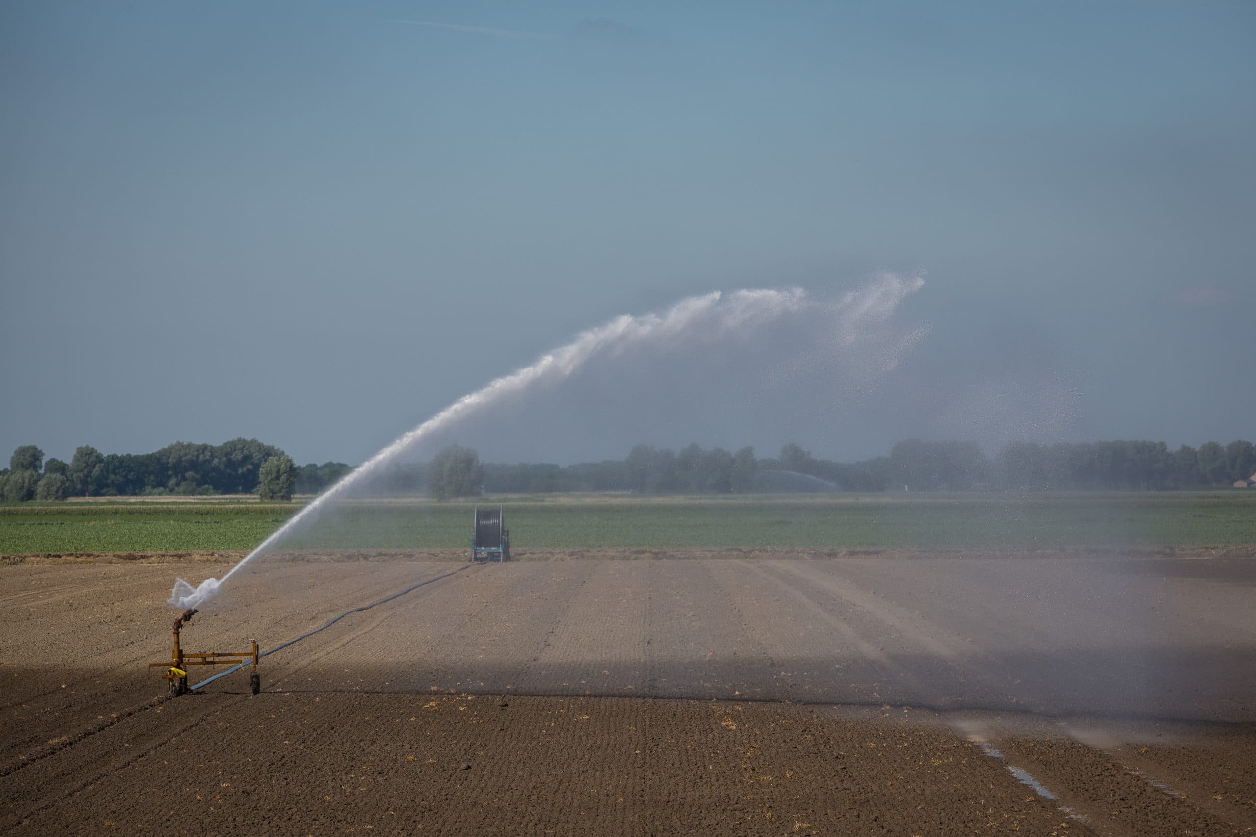 Foto: Peter Roek