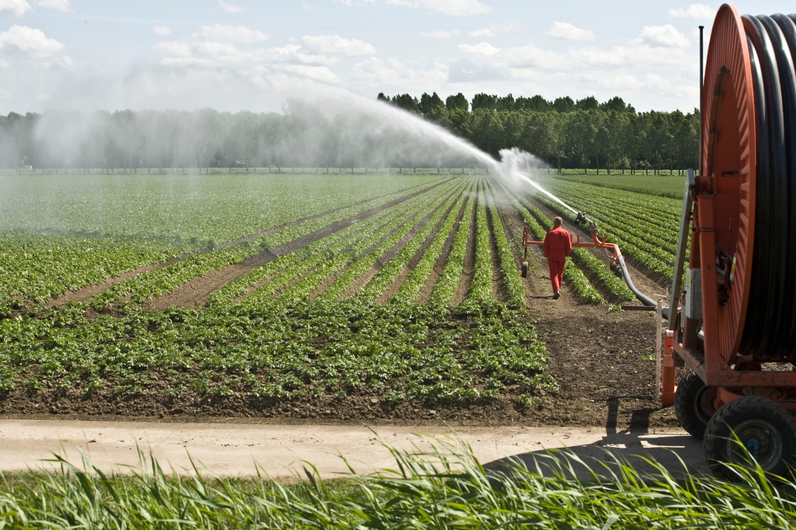 Foto: Koos Groenewold