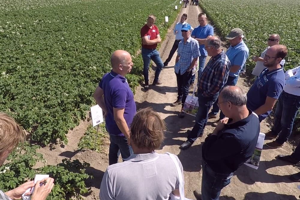 Delphy onderzoekt in een gewarde blokkenproef de effecten van een 10-tal bodemverbeteraars en plantversterkers op de pootaardappelopbrengst. Van de resultaten is nu nog niets te zeggen.