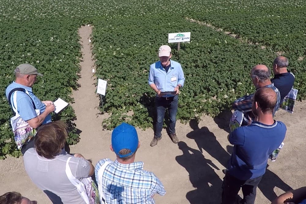 Onderzoek naar het effect van Quad planten, dat wil zeggen 2 rijen aardappelen in een rug van 75 centimeter. Vorig jaar varieerde het opbrengst effect van -2 tot +20%.