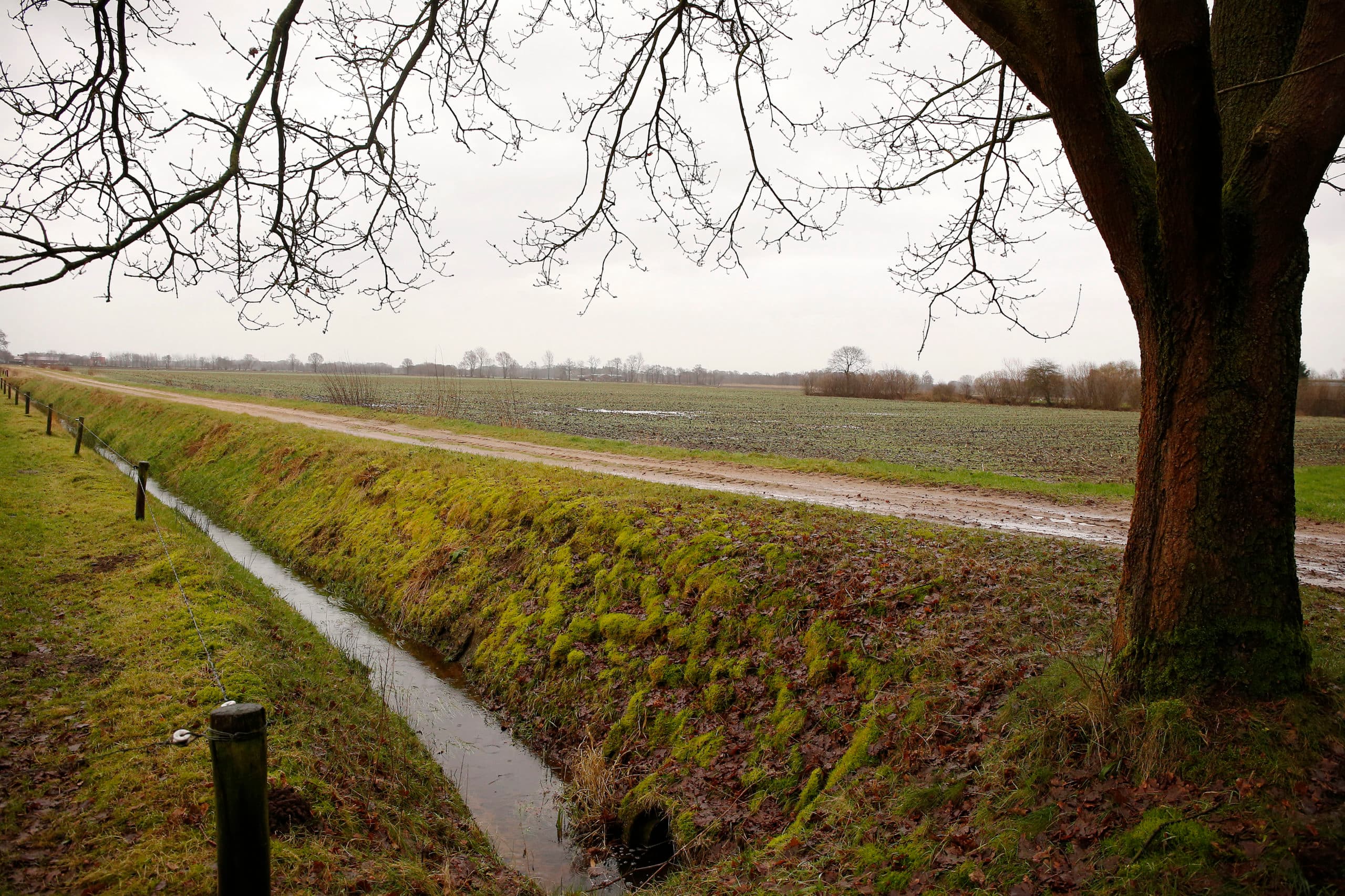 Foto: Hans Prinsen