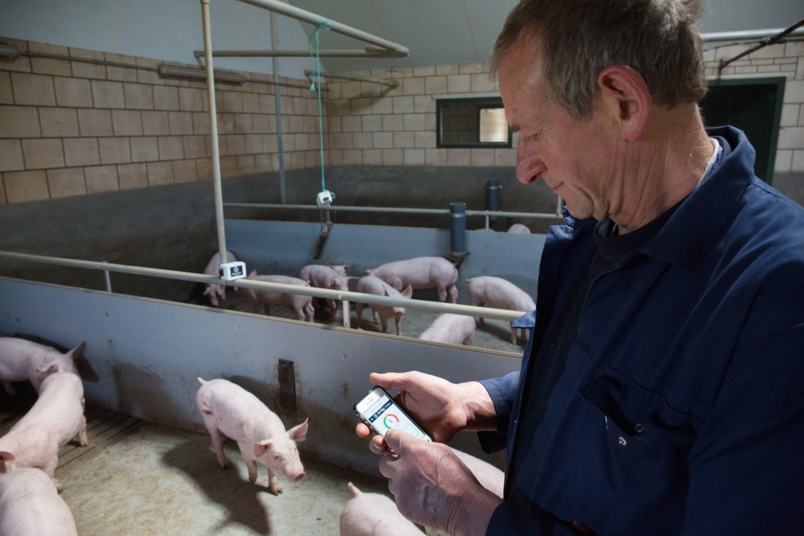 Jaap Kreuger kan de meetgegevens van het sensorkastje gemakkelijk aflezen op zijn mobiele telefoon.