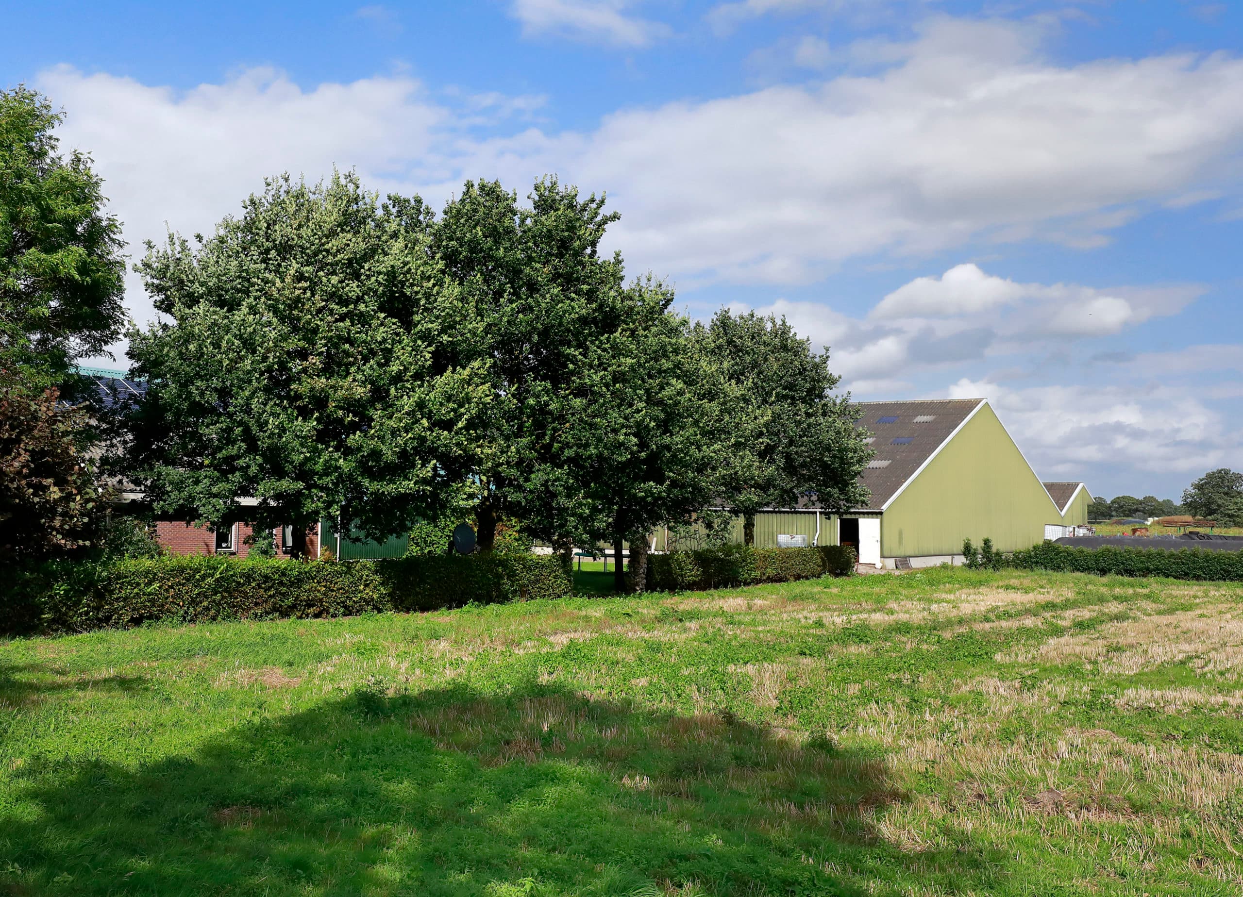 Foto: Ruud Ploeg