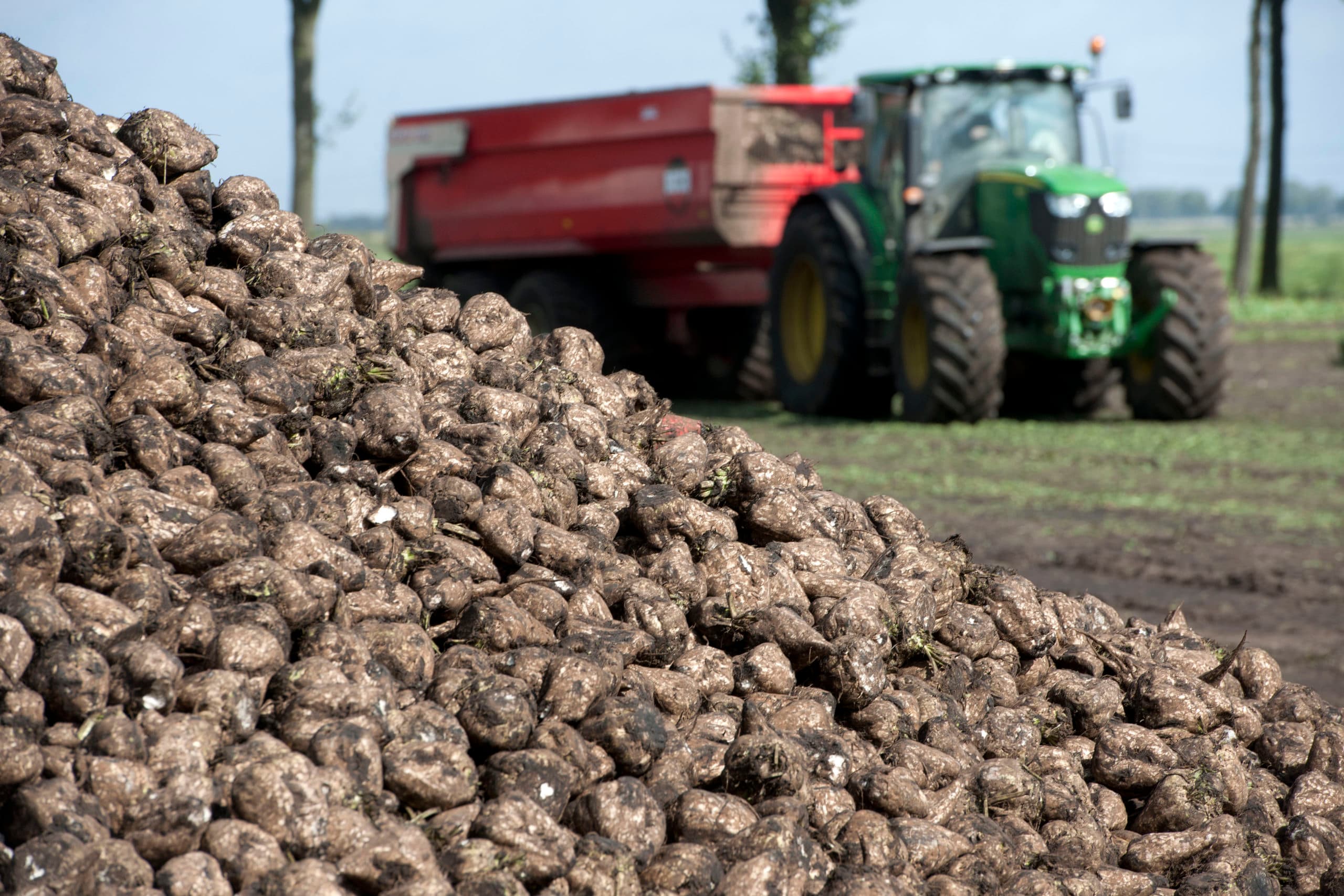 Cosun wil minder bieten in 2019