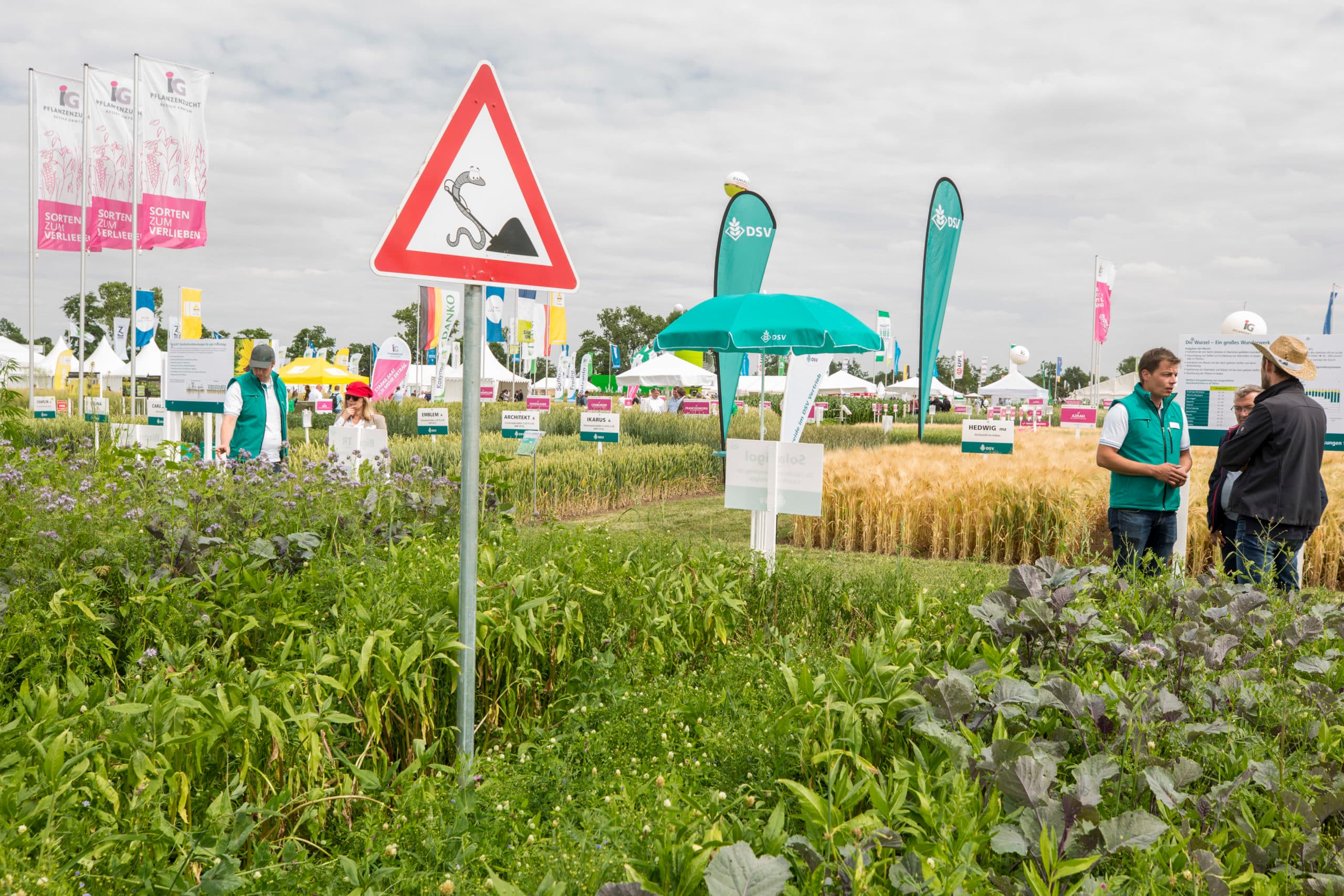 Foto: Koos Groenewold