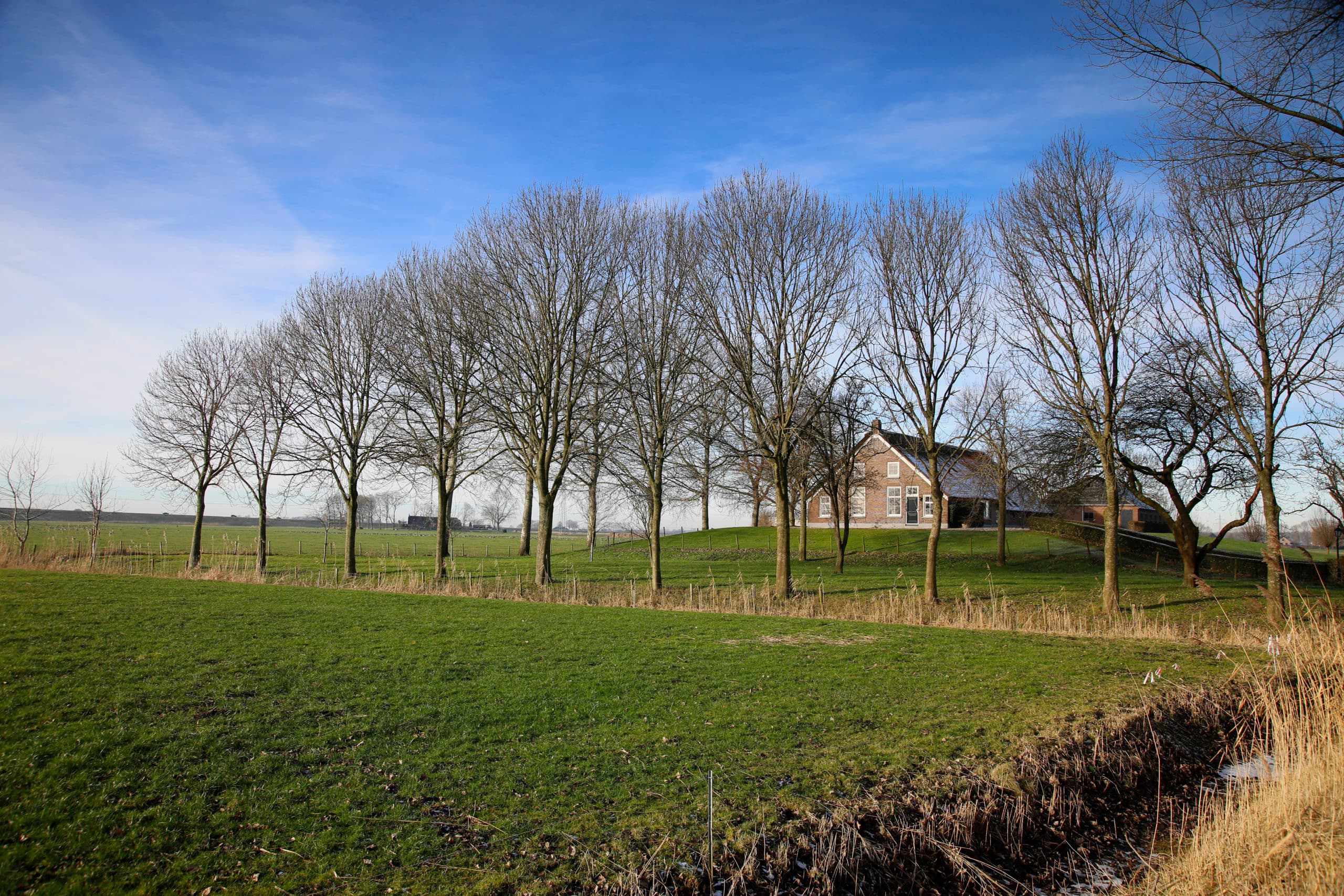 Foto: Ruud Ploeg