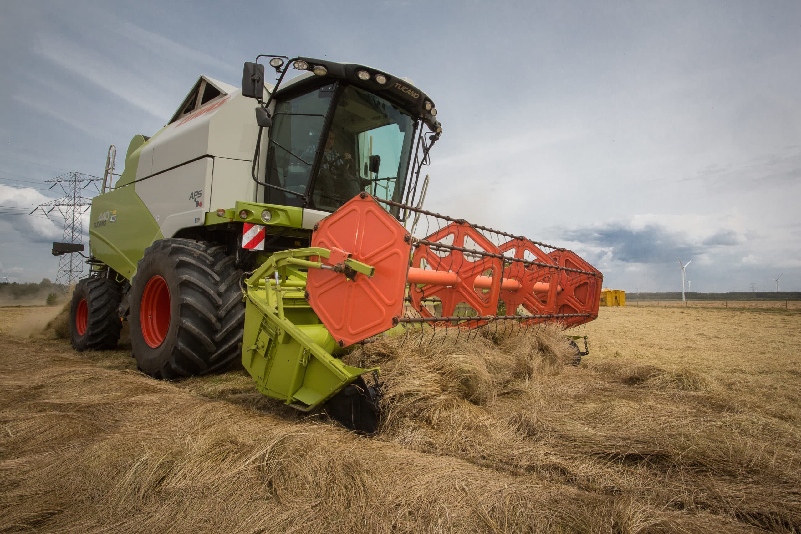Oogsten van graszaad. De eerste kavels zijn inmiddels gemaaid