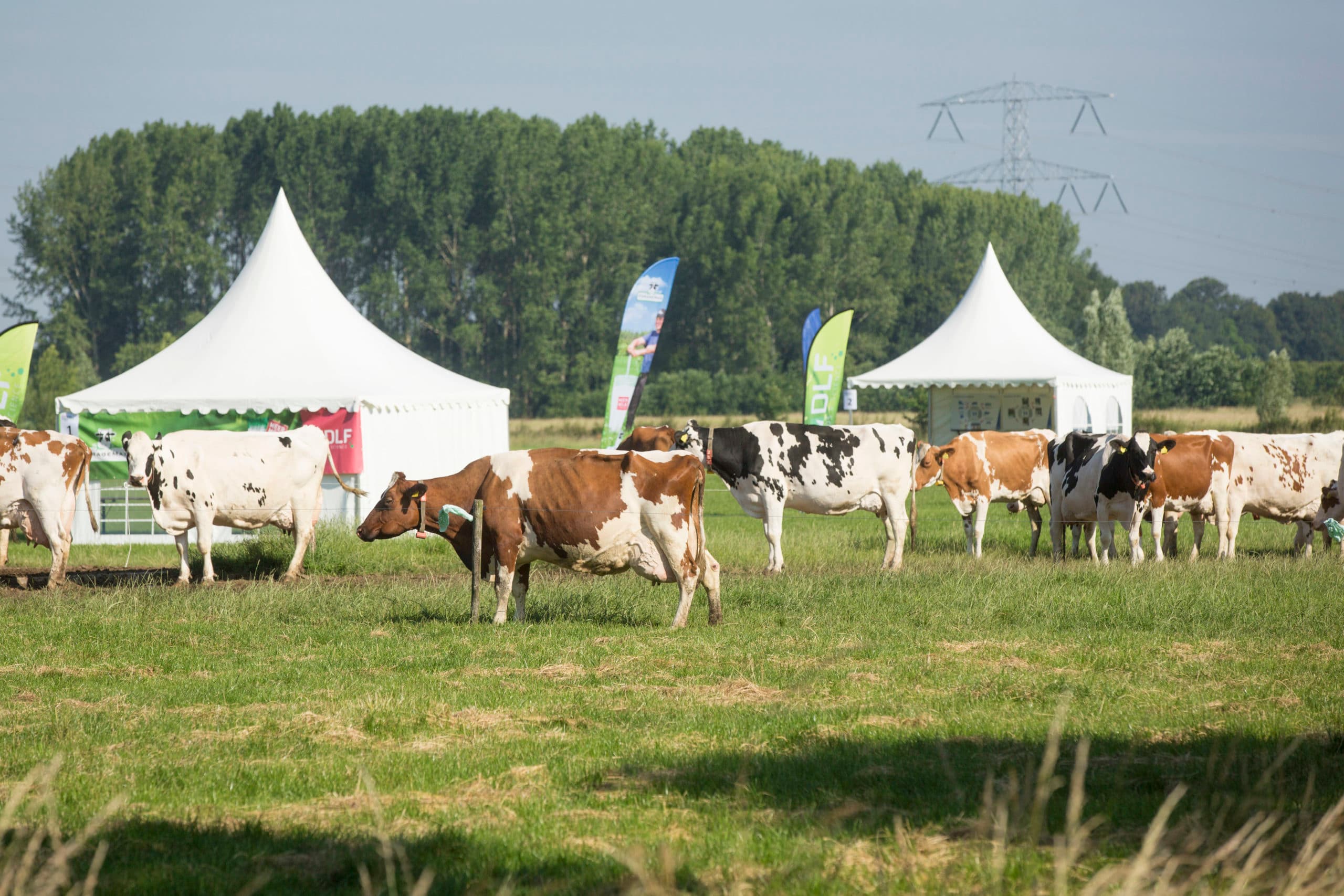 Foto: Koos Groenewold