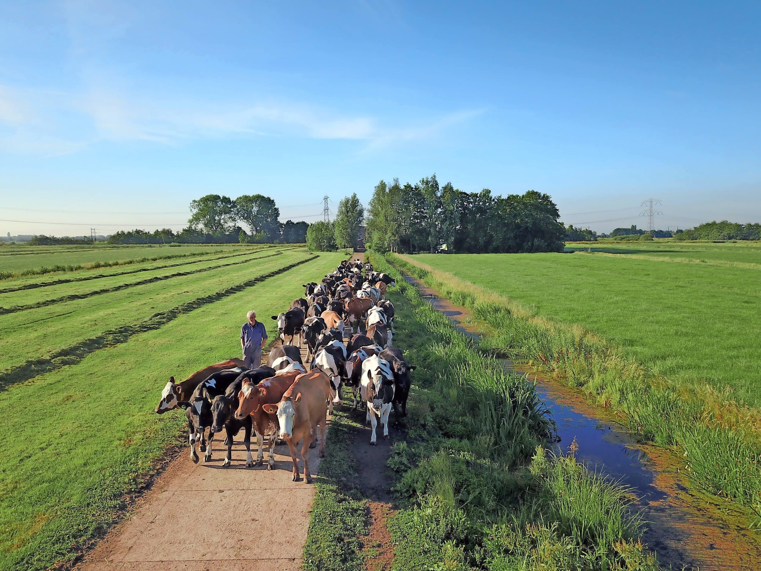 Foto: Roel Dijkstra