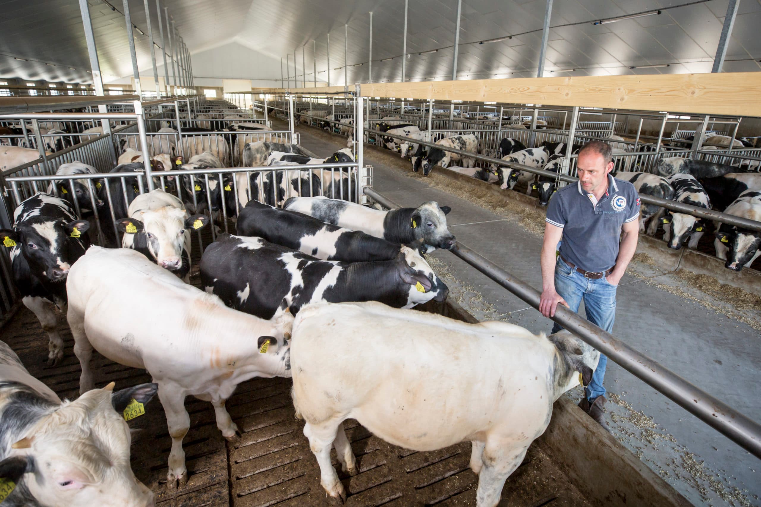 Foto: Koos Groenewold