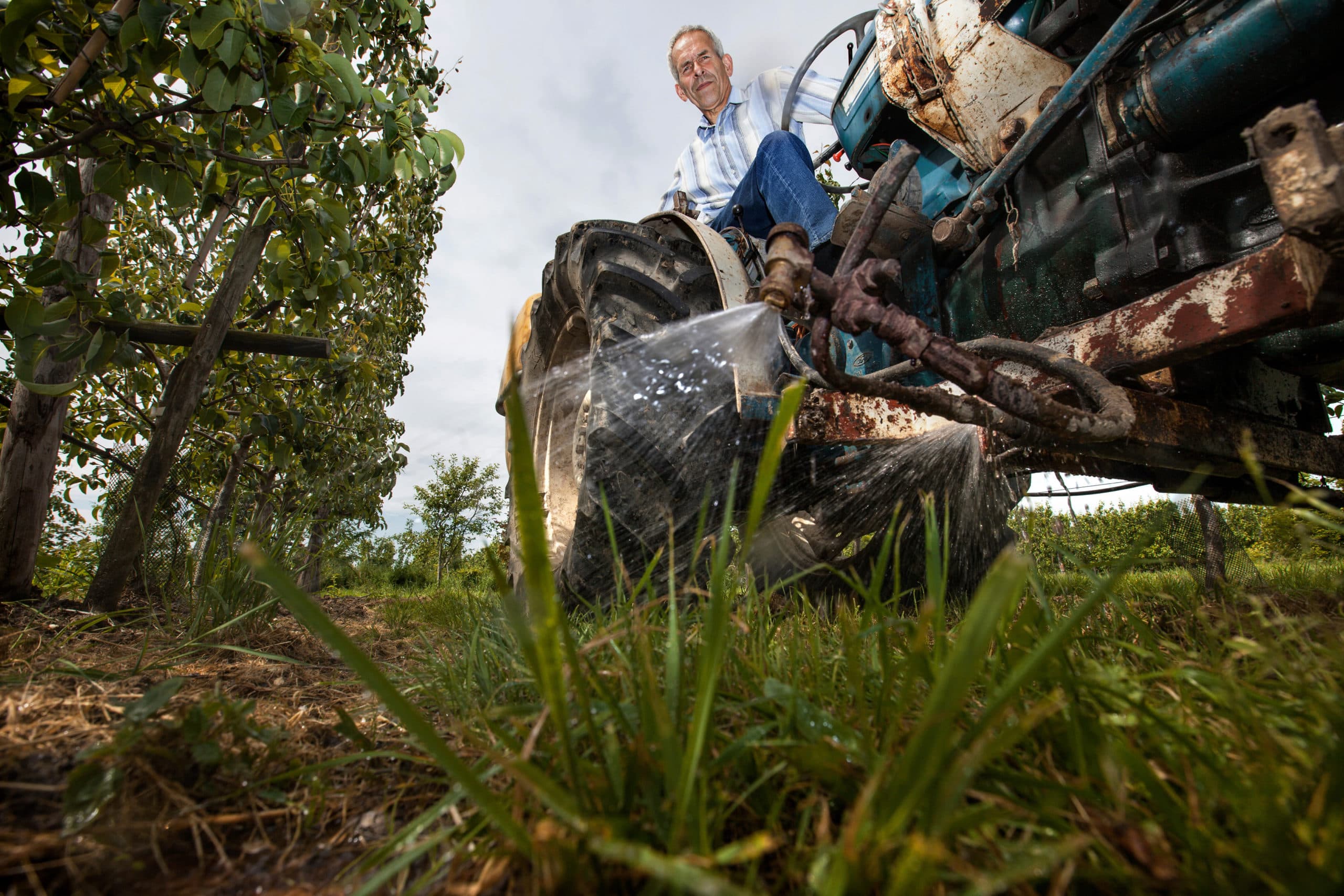 Foto: Herbert Wiggerman
