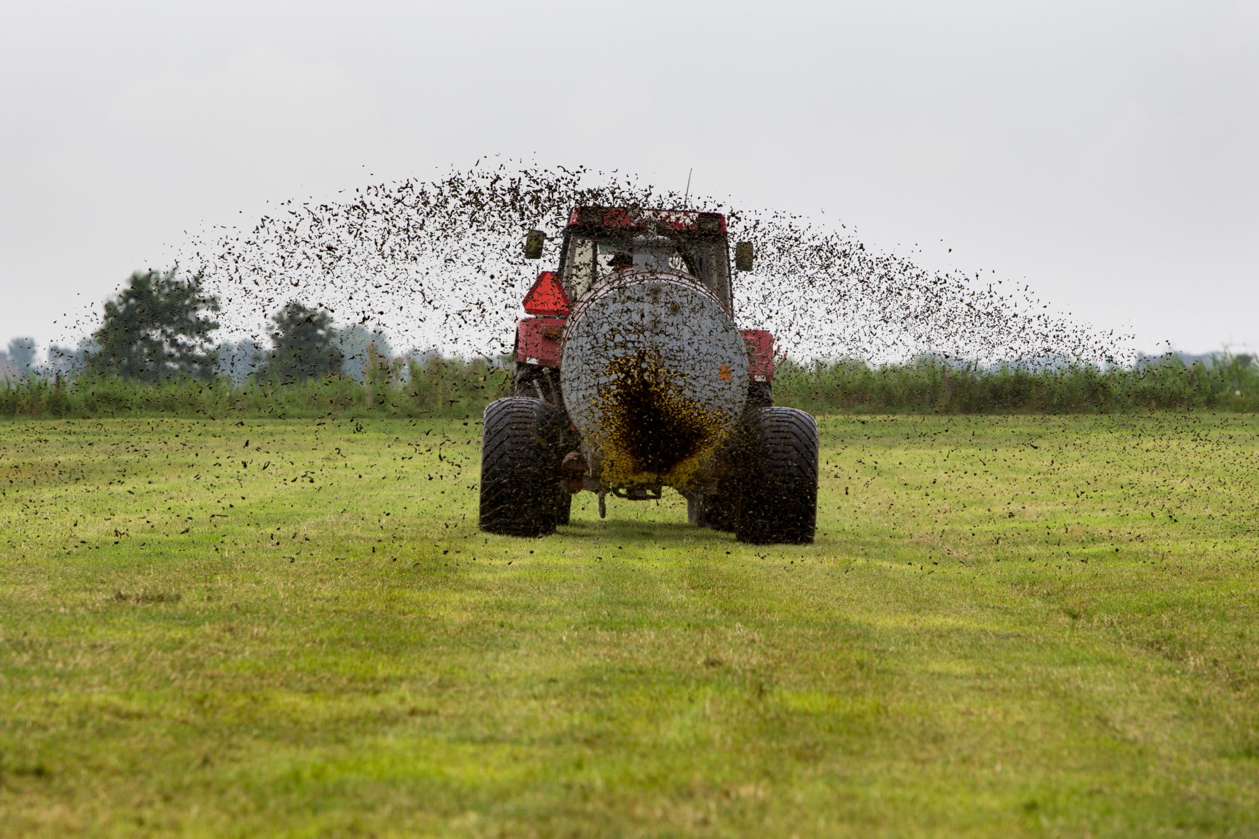 Er is meer onderzoek nodig om te bewijzen dat bovengronds uitrijden van runderdrijfmest meer en beter gras oplevert dan zodenbemesten.