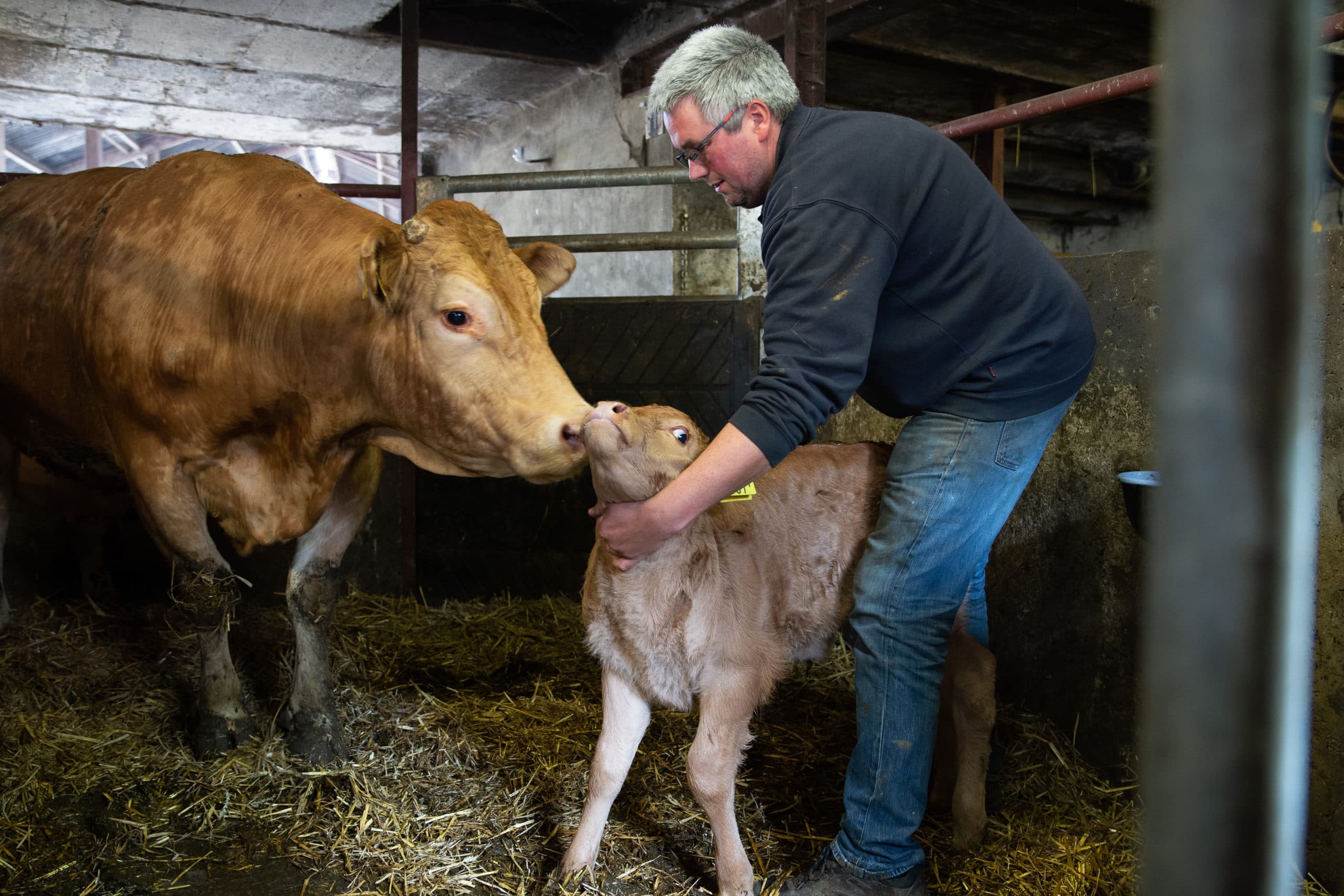 Foto: Twan Wiermans