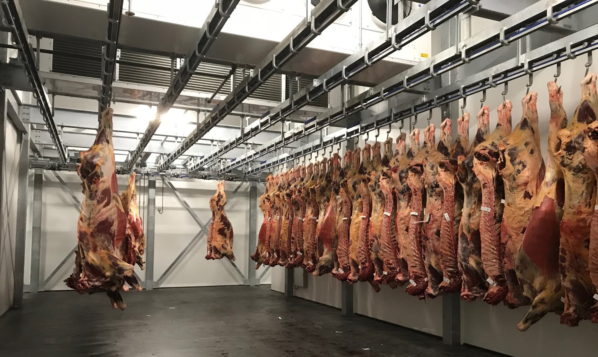 Zich verheven voelende NVWA redeloos en reddeloos