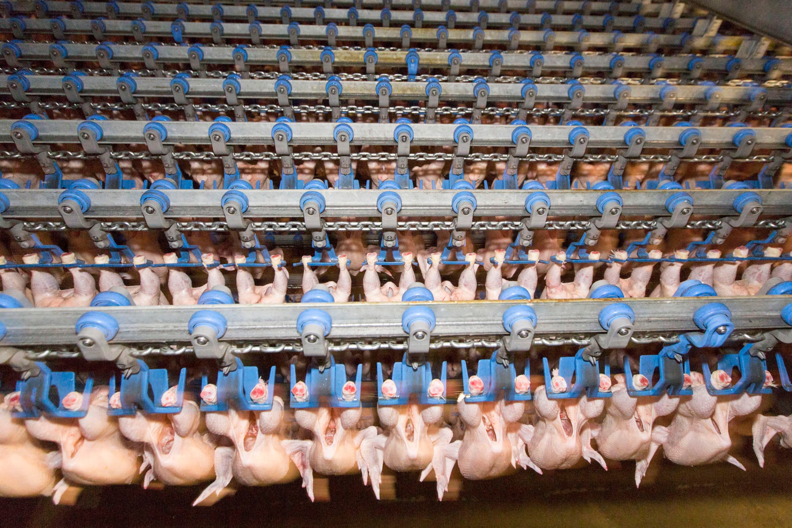 Foto: Koos Groenewold
