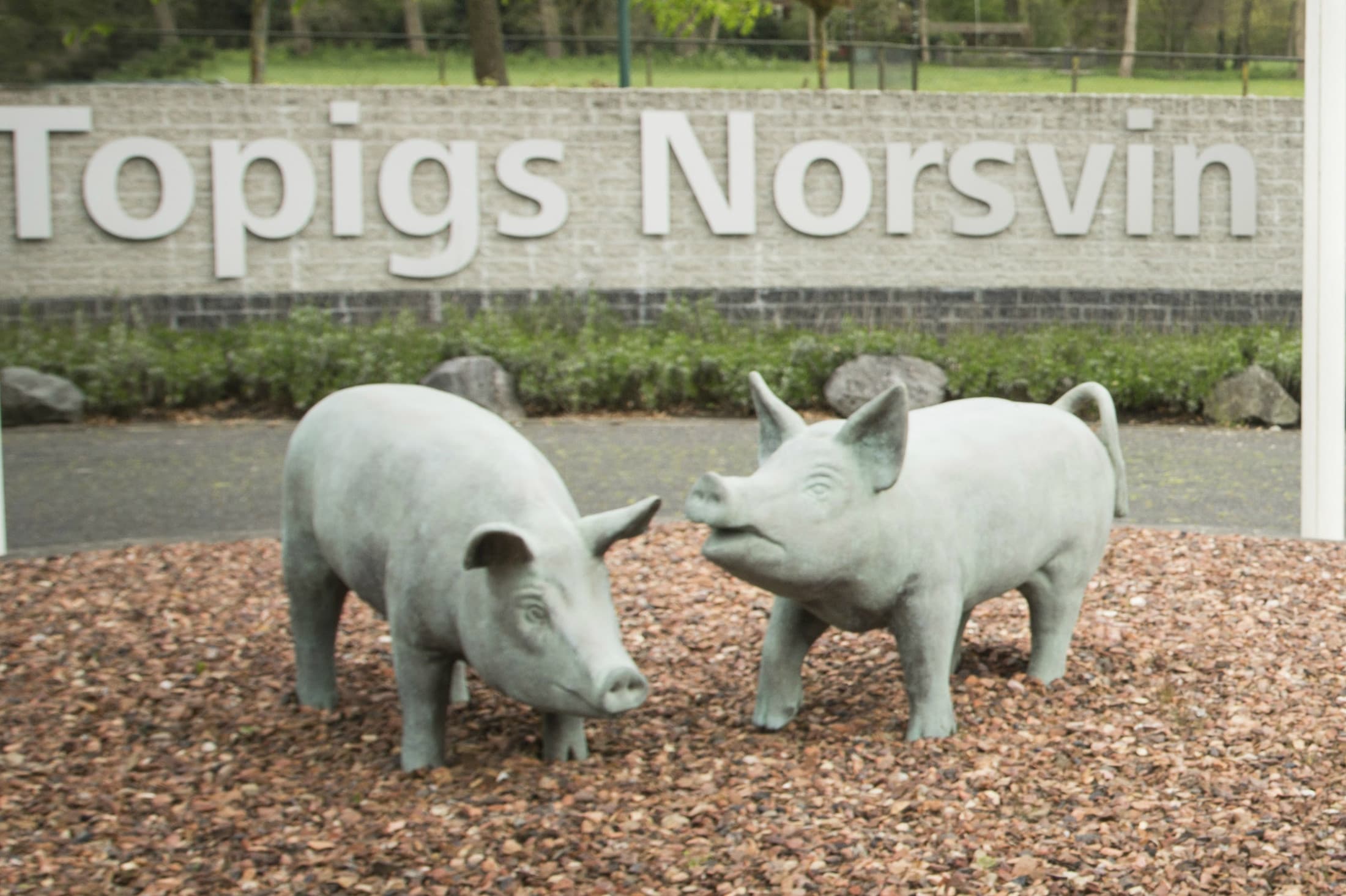 Foto: Koos Groenewold
