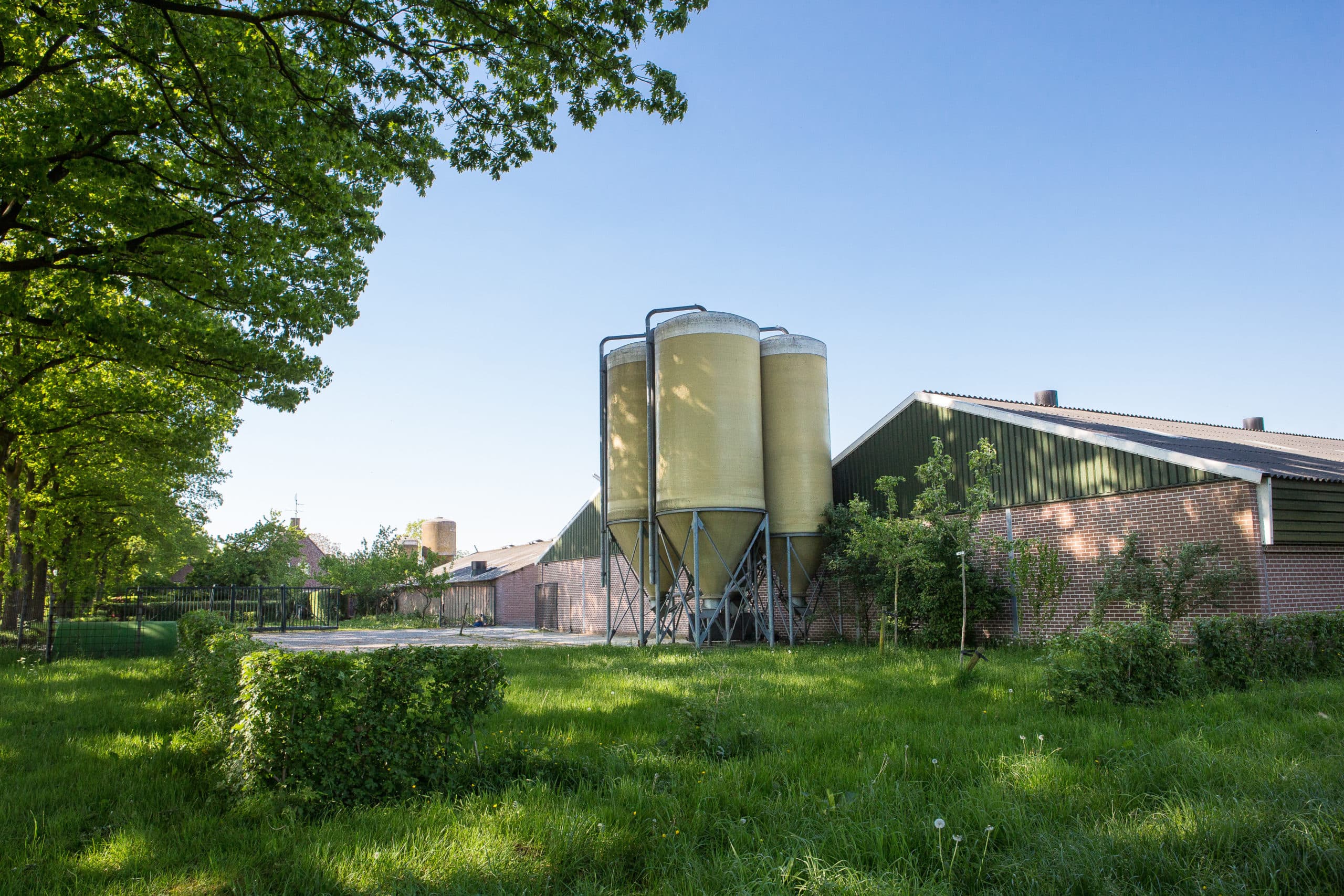 Foto: Peter Roek