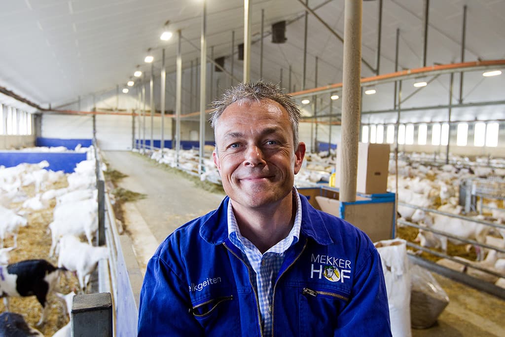 Bij het verlaten van de melkstal moeten de geiten via een afschot naar beneden. Dit om te zorgen dat ze niet terugkeren voor nog een portie brok. Het is de bedoeling om binnenkort alle geiten na het verlaten van de melkstal te wegen. Data verzamelen is belangrijk voor het onderzoeksbedrijf.