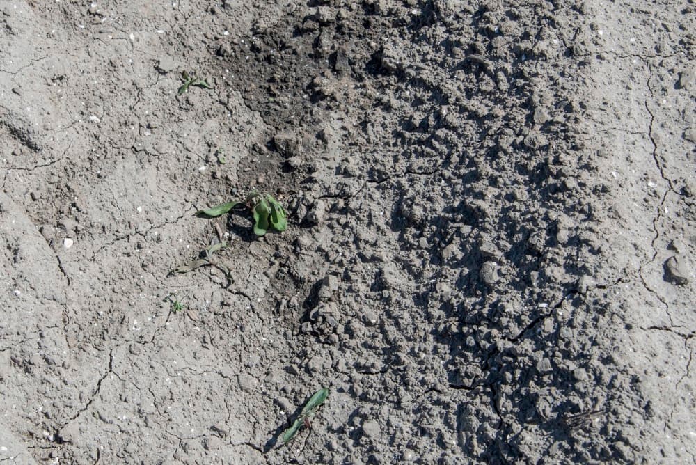 Om de warmte vast te houden onder de kap is een gordijn van kettingen opgehangen. Dit systeem kan ook eventuele obstakels ontwijken.