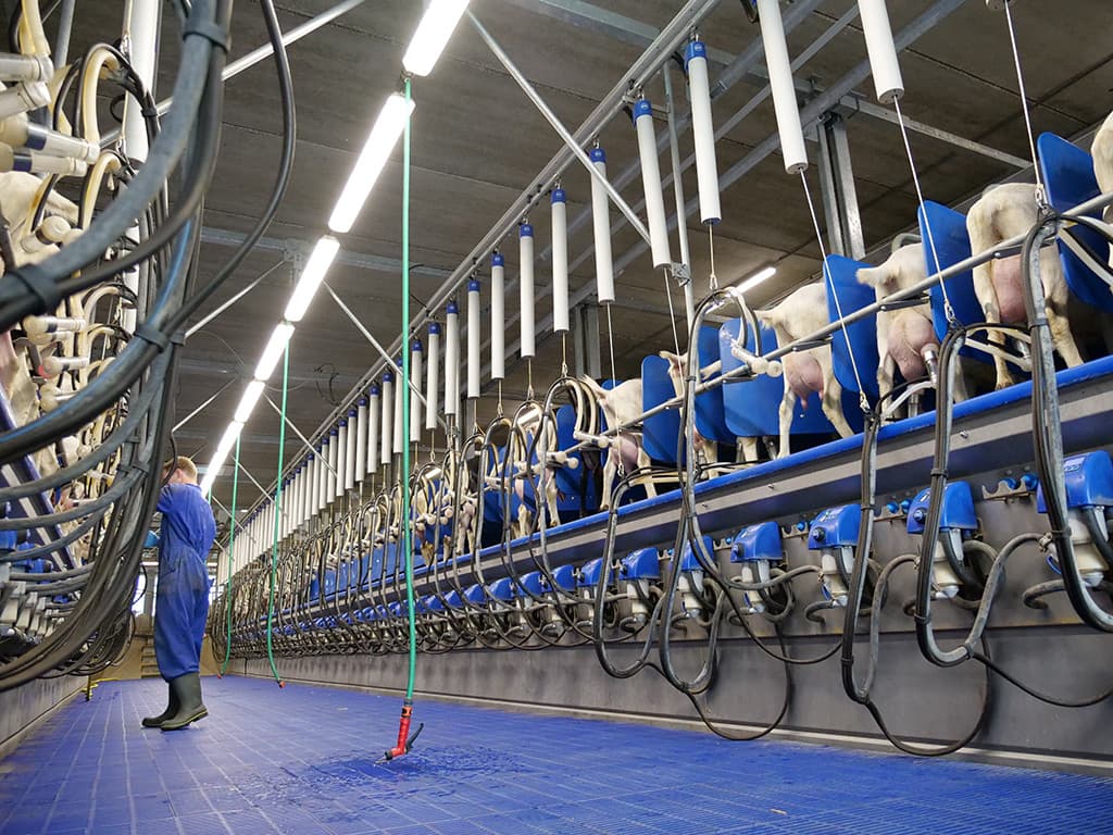 De ventielventilatie wordt gestuurd op onderdruk, gecreëerd door dit soort grote ventilatoren in de nok van de stal. Om tijdens het in- en uitrijden van de stal het klimaat zo min mogelijk te beïnvloeden, is gekozen voor roldeuren.
