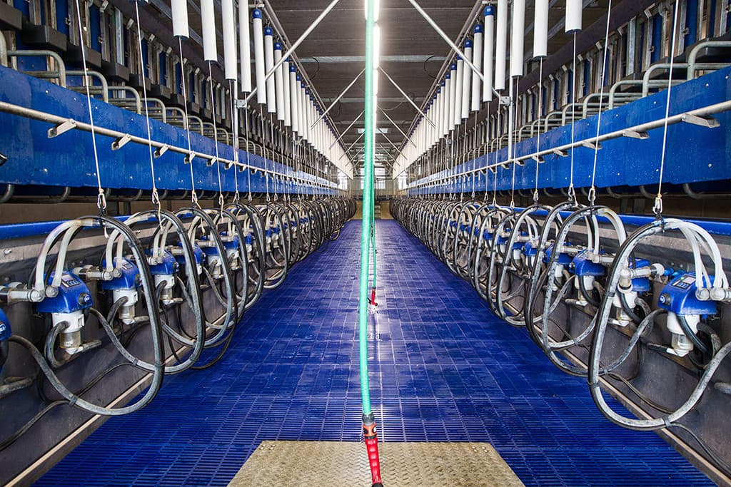 Ondernemers in de geitensector moeten nog veel zelf uitdokteren. Vaak doen toeleverende bedrijven geiten erbij en kopiëren ze zaken vanuit de melkveehouderij. Maar het voeren van een geit is volgens Reefhuis niet te vergelijken met het voeren van een koe.  Een geit een alleseter? Nee, er is geen dier zo secuur als een geit.  De eerste onderzoeken zijn inmiddels opgestart. Het is opvallend dat zich tot nu toe nog geen derde onderzoekspartijen bij het initiatief hebben aangesloten, al melden zich inmiddels wel de eerste gegadigden voor het uitvoeren van proeven. Volgens veterinair epidemioloog Gerrit Koop, verbonden aan Universiteit Utrecht, gaat het om een unieke locatie. Hij geeft aan dat het nergens anders mogelijk is om onder dergelijke gecontroleerde omstandigheden onderzoek te verrichten op een geitenbedrijf van deze omvang. Hij is dan ook zeker van plan in de toekomst van de locatie gebruik te gaan maken.