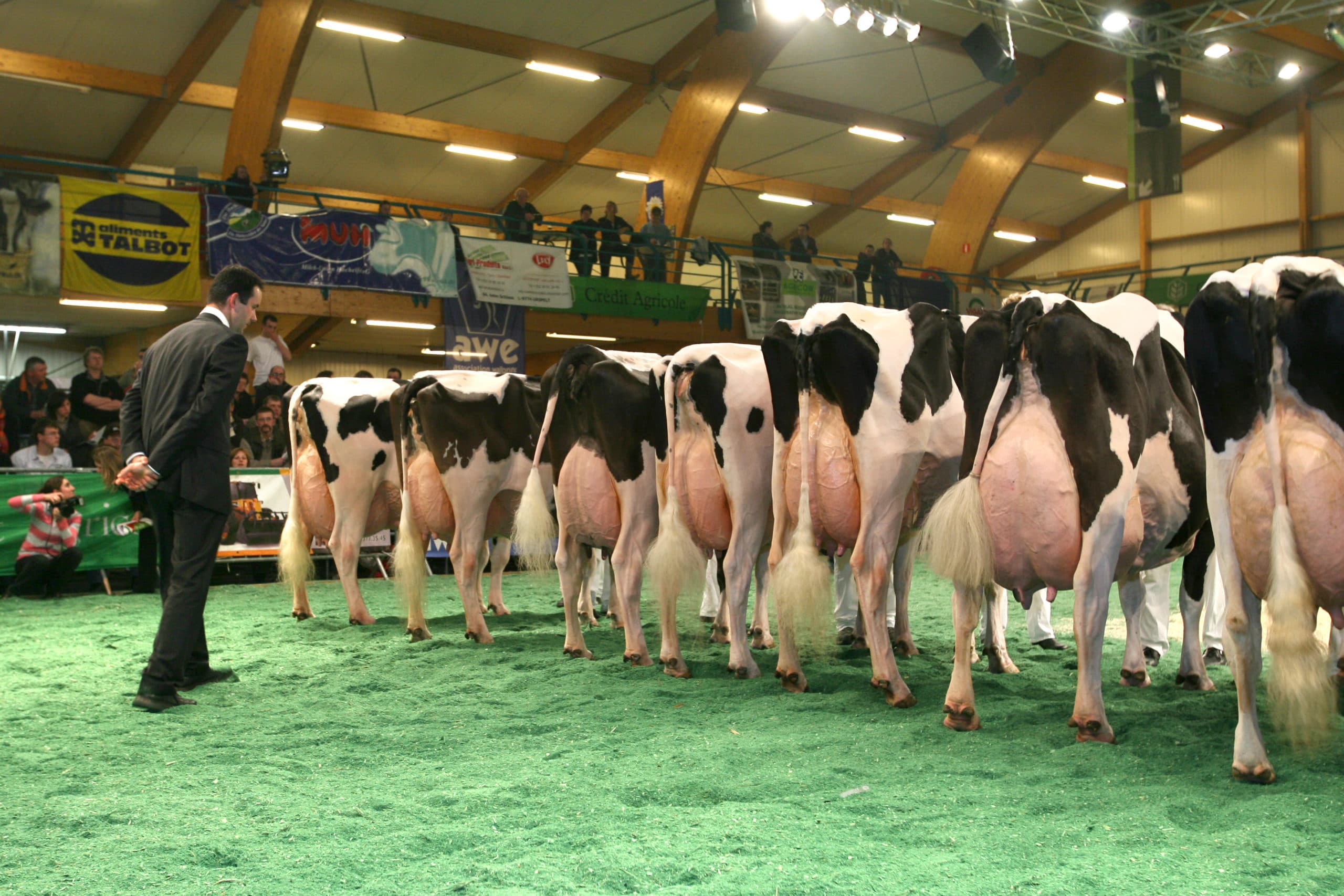 Foto: Peter Roek