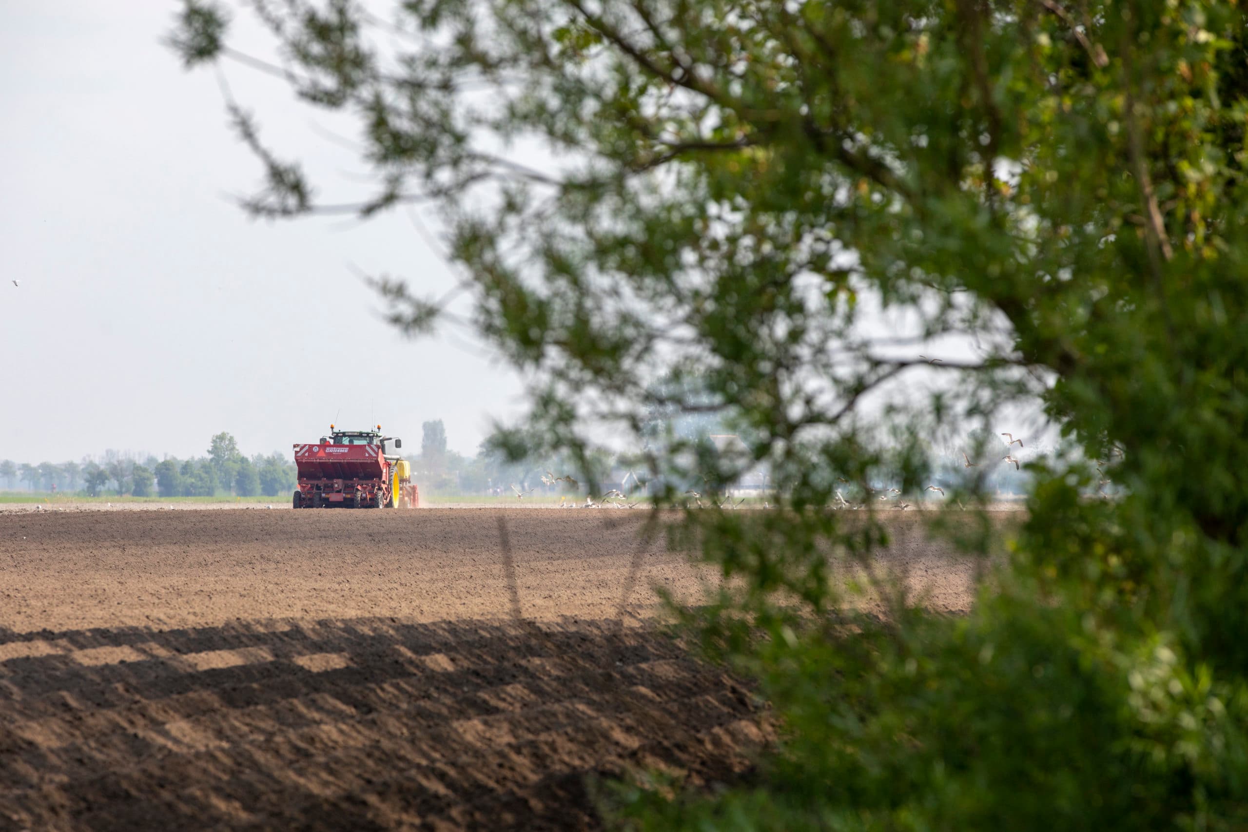 Foto: Anne van der Woude