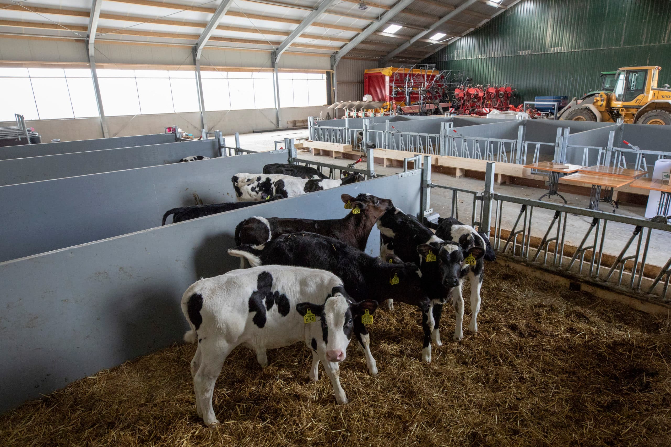 Foto: Anne van der Woude