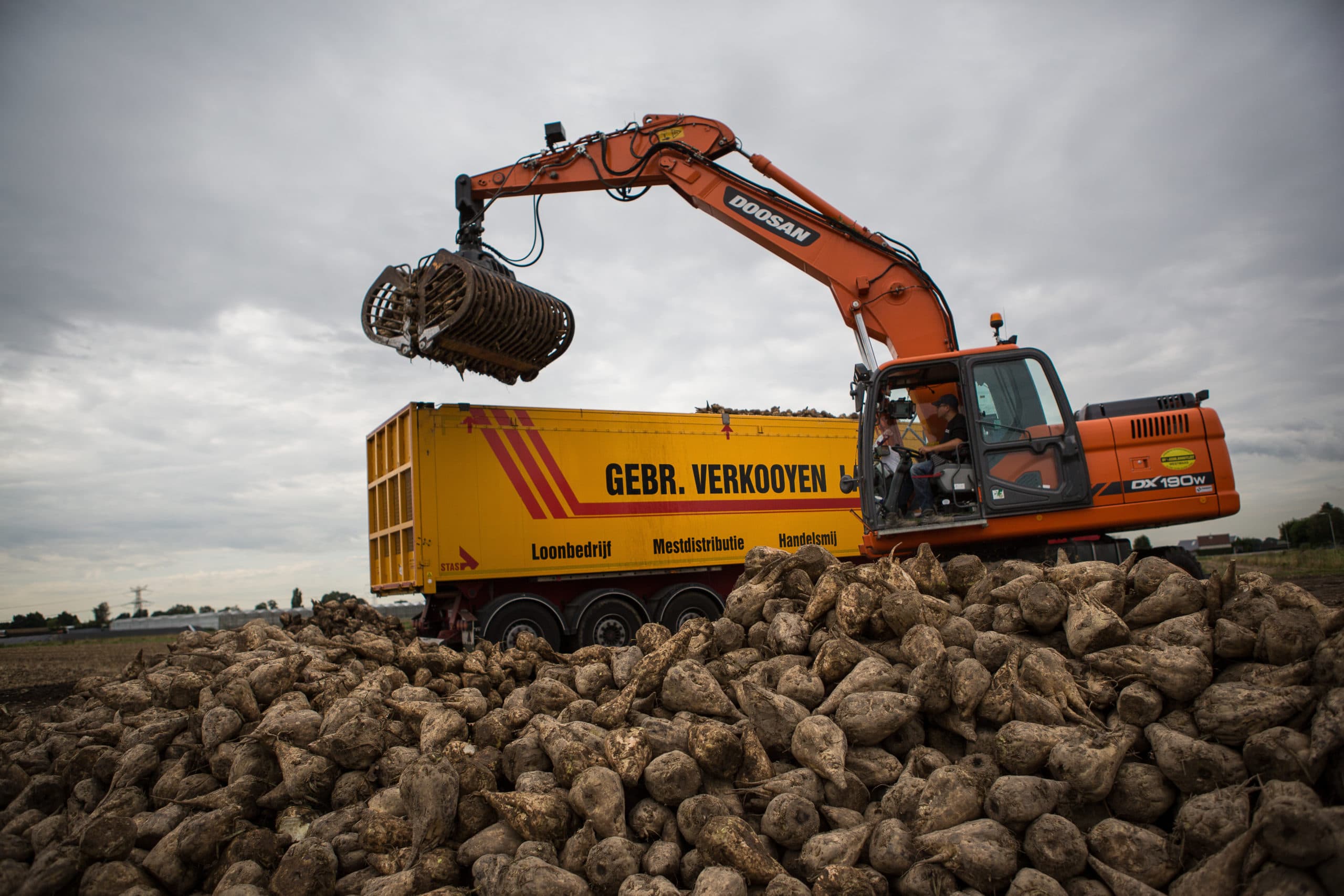 Foto: Peter Roek
