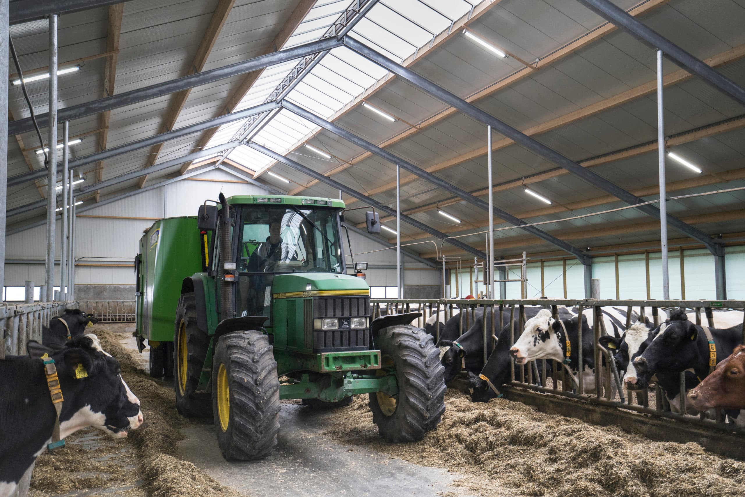 Foto: Jan Willem van Vliet